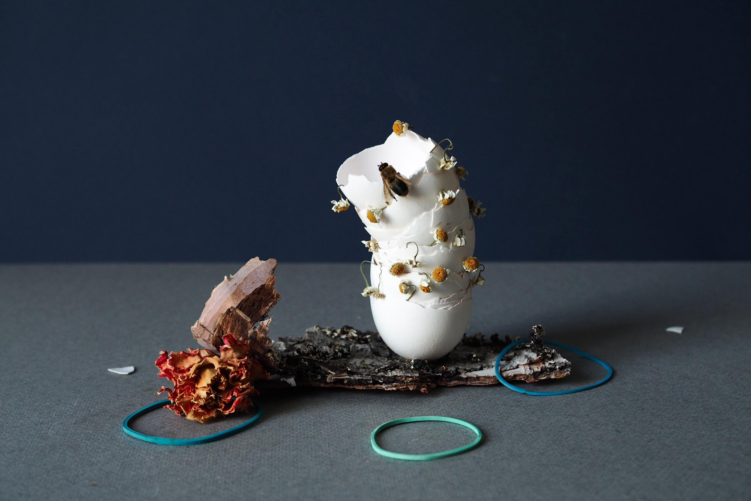 Still life photography. Visual artist Irina Heinz