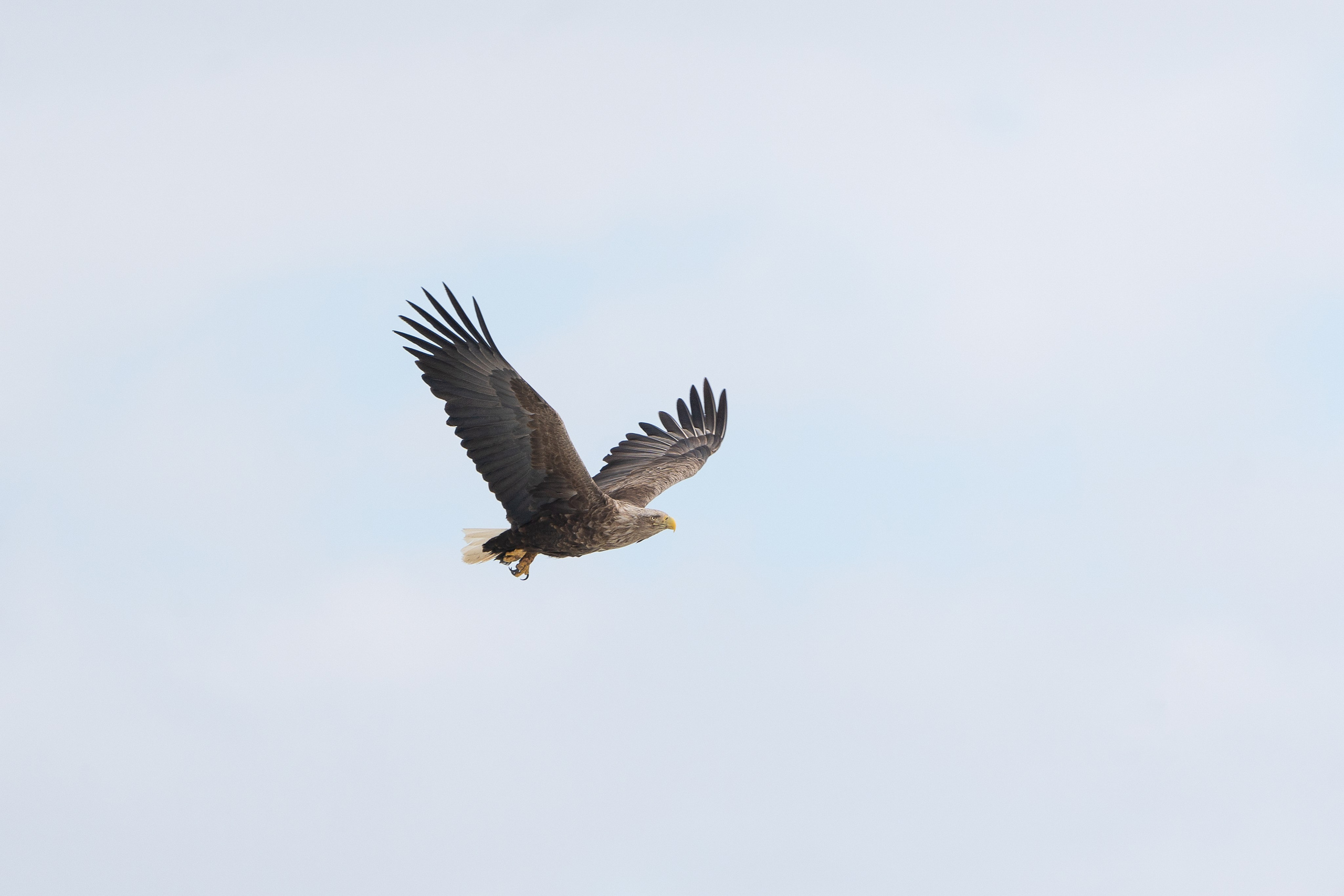 Фотограф Лубсан Чагдуров