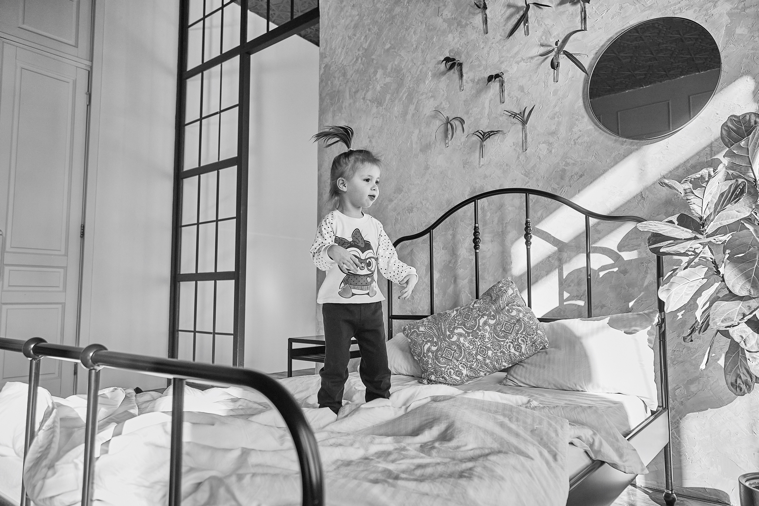 Семейная фотосессия, с собакой в Красноярске,. Свадебный и семейный фотограф в Красноярске Владимир Ятмасов