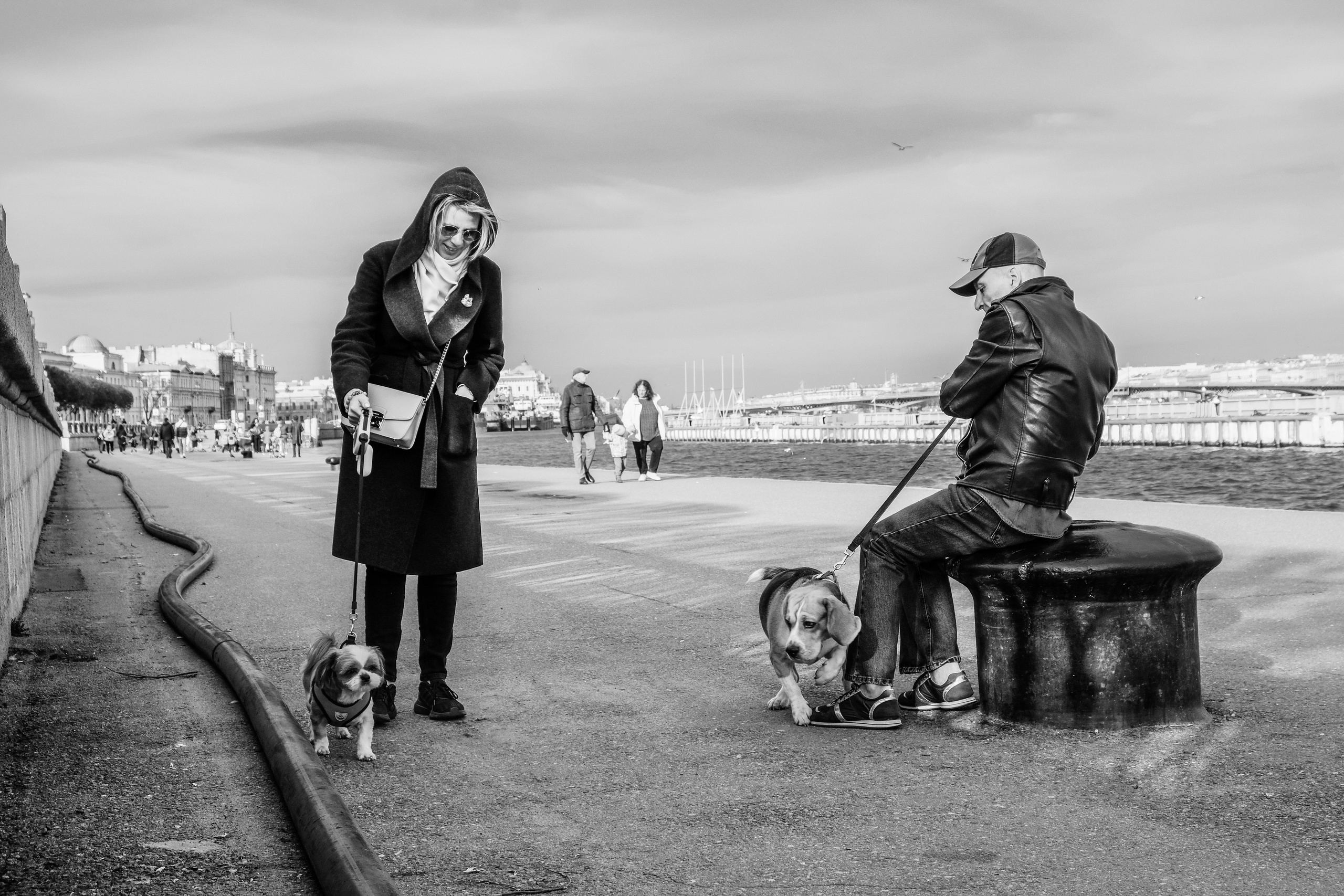 Фотопрогулки. Репортажная съёмка в Санкт-Петербурге, Константин Петров