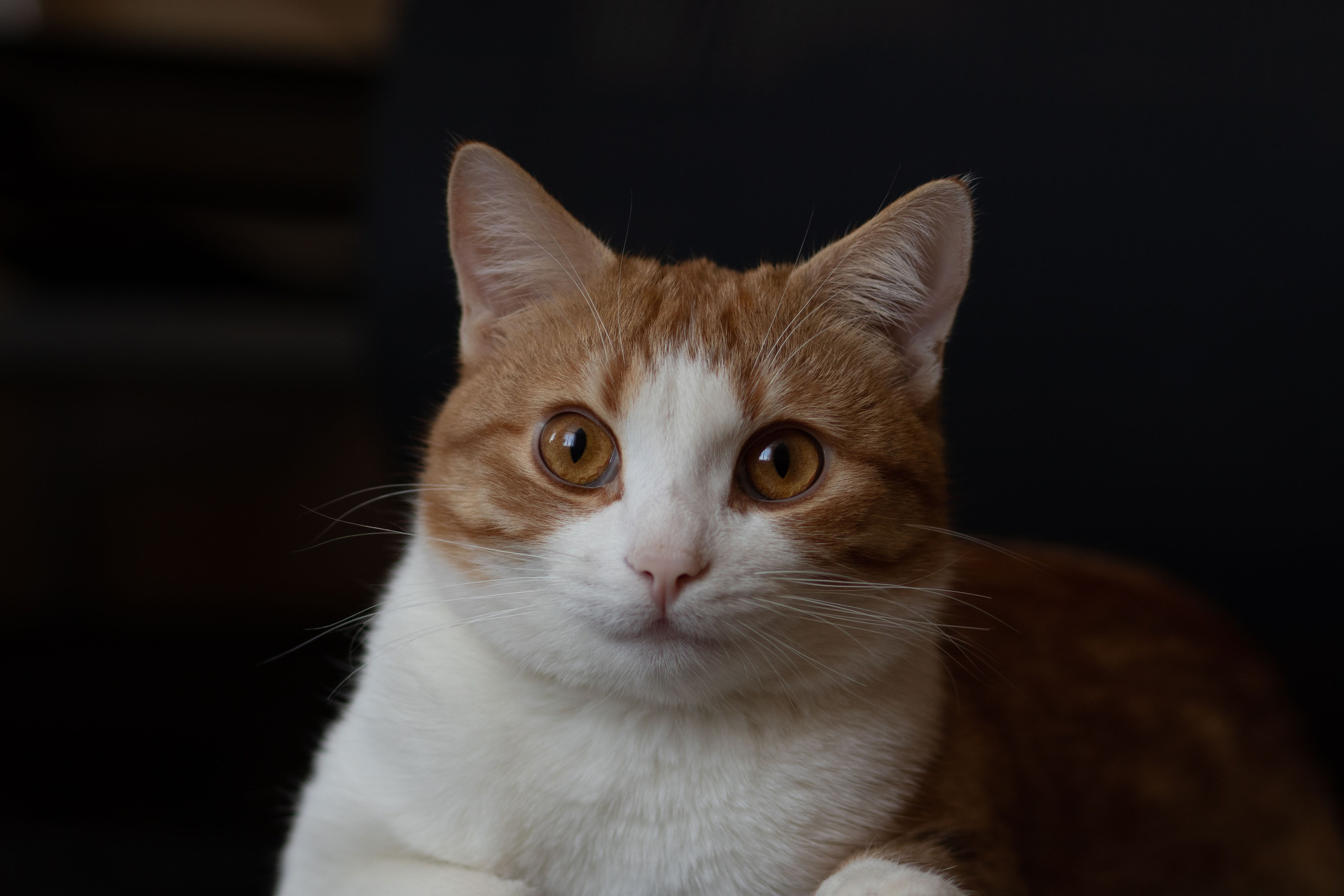 Юлия Микульская. Рыбинск