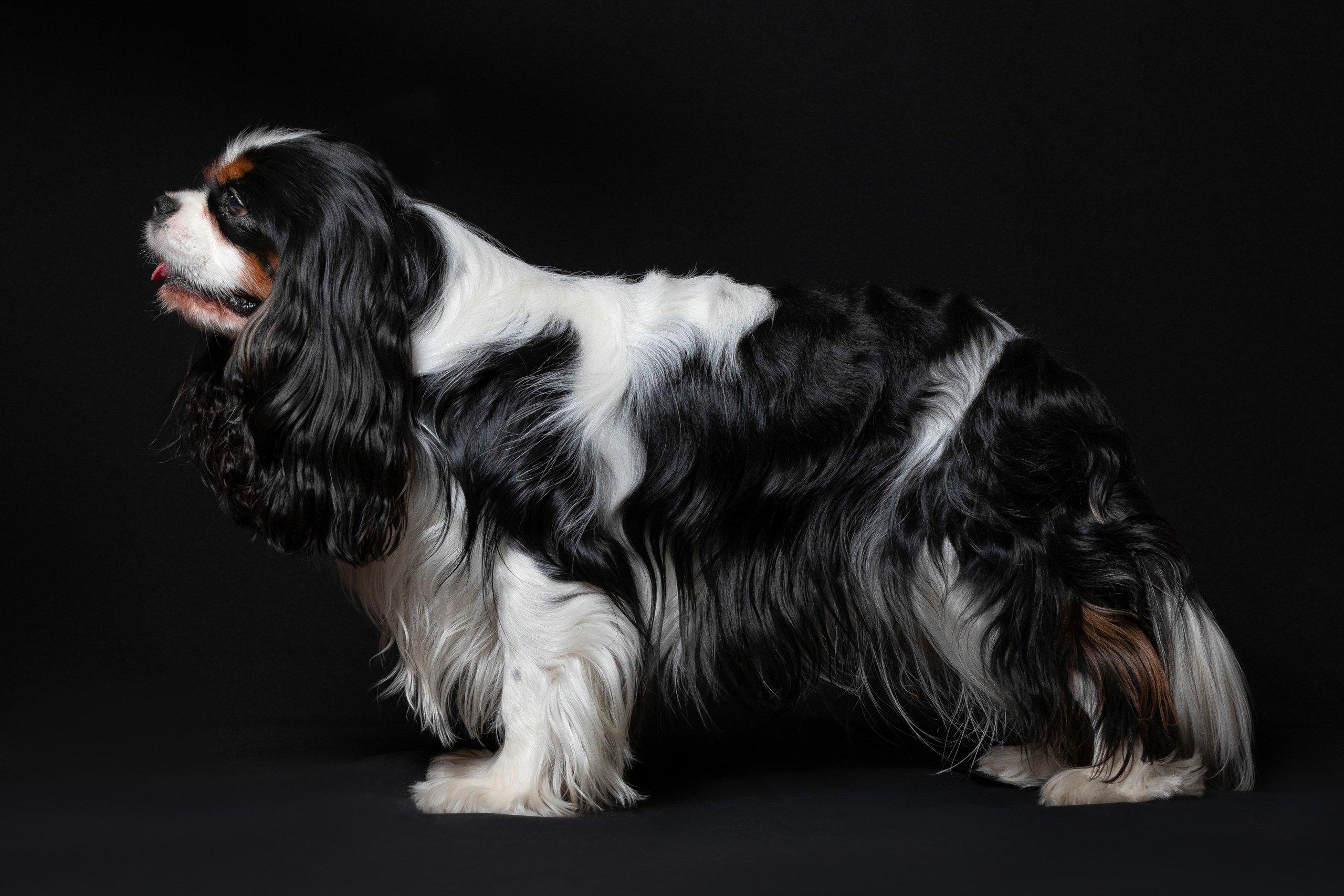 Юлия Микульская. Рыбинск