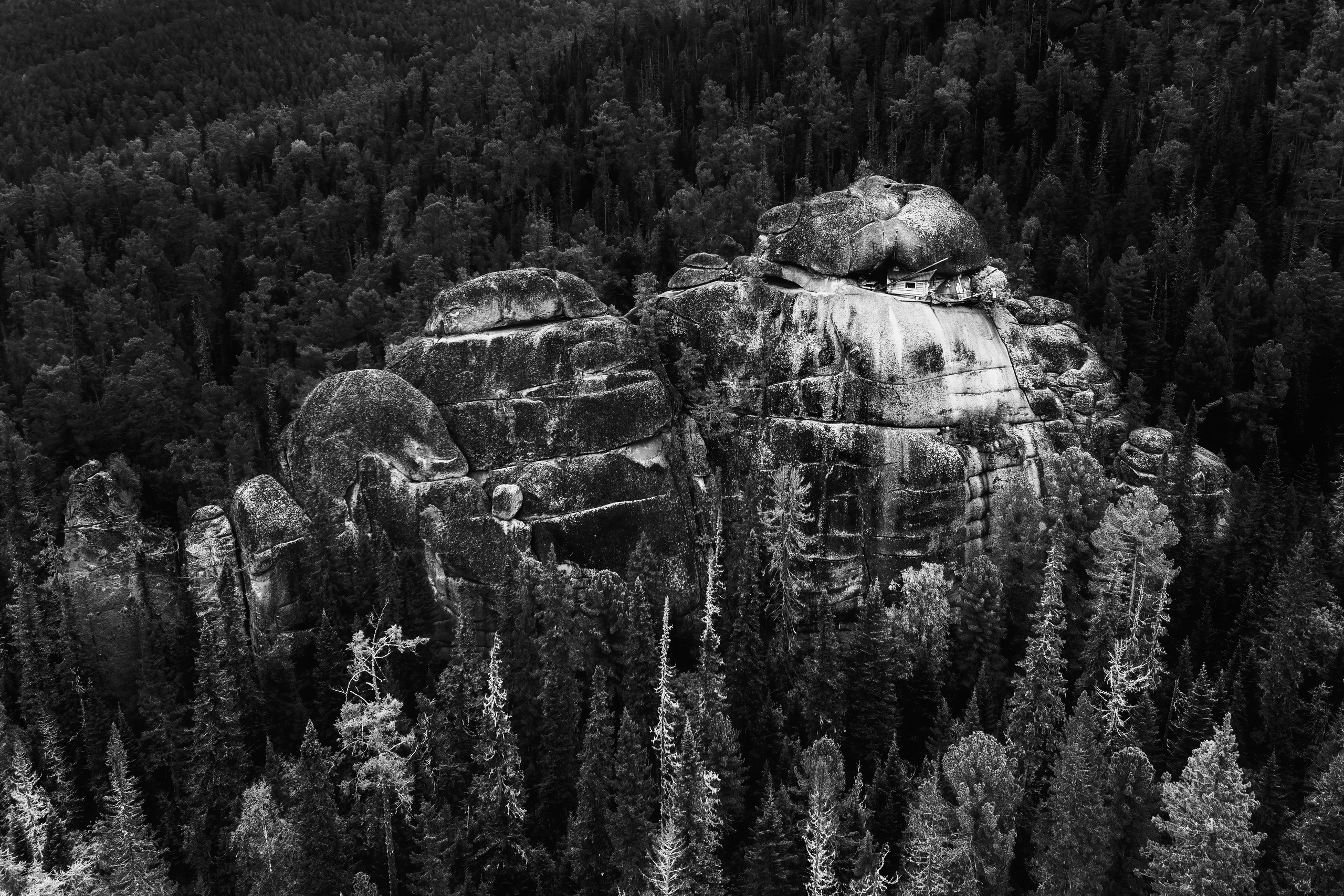 Пристанище_принт (1) грифы. Элина Гусарова