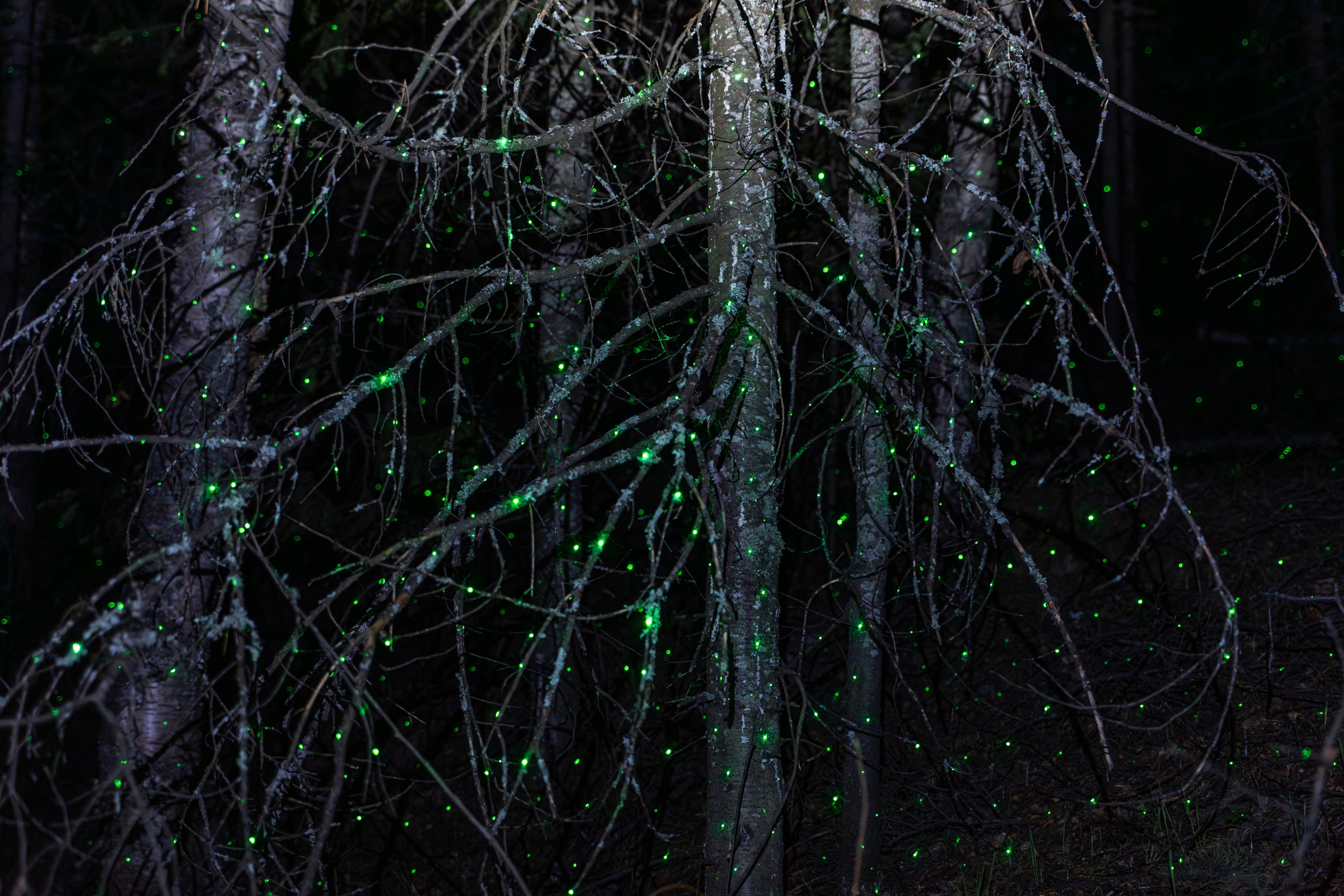 Пристанище_принт (14) мерцает. Элина Гусарова