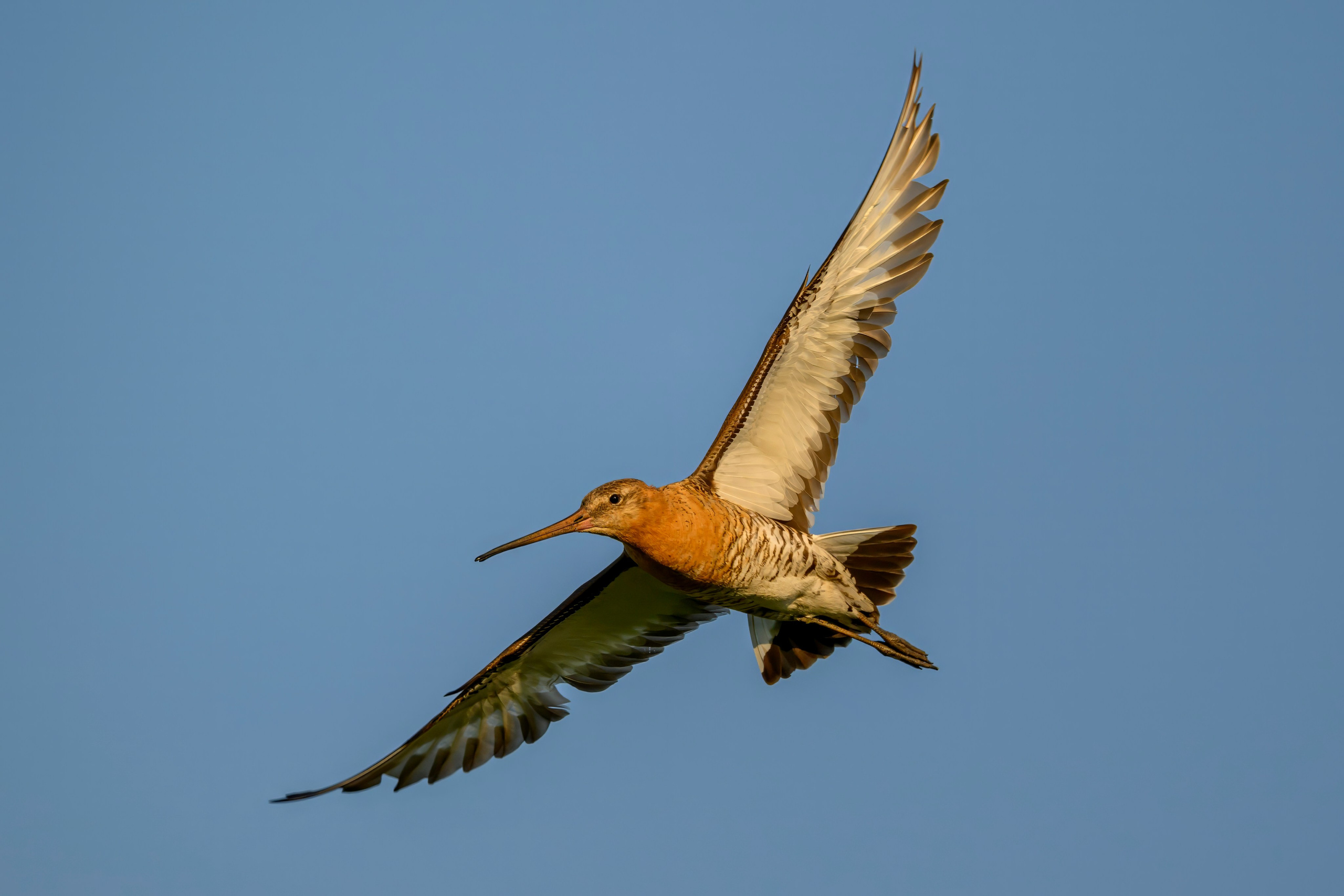 Перед грозой. Фотограф Сергей Пупонин