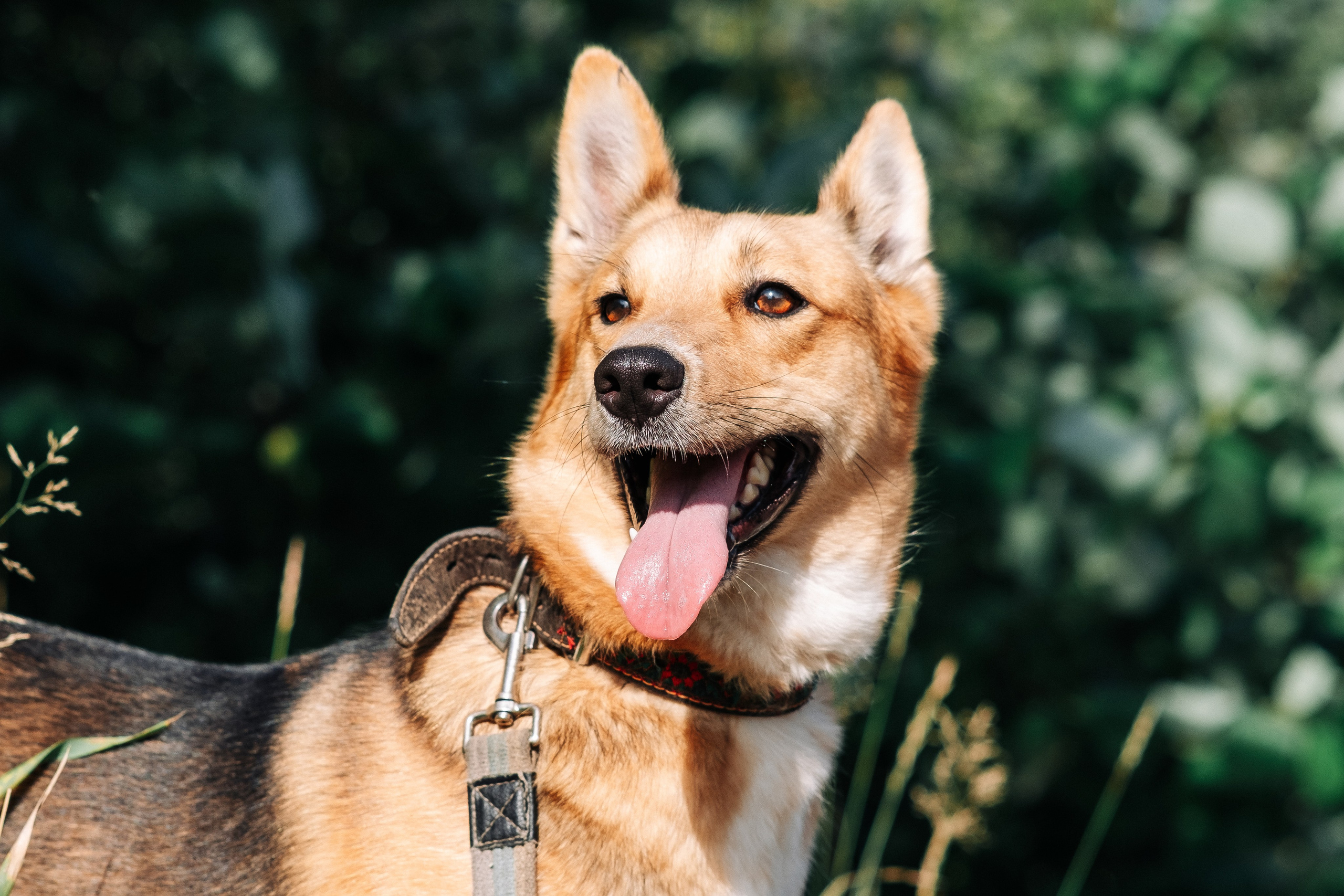 Видеограф Архангельск | Северодвинск | Новодвинск