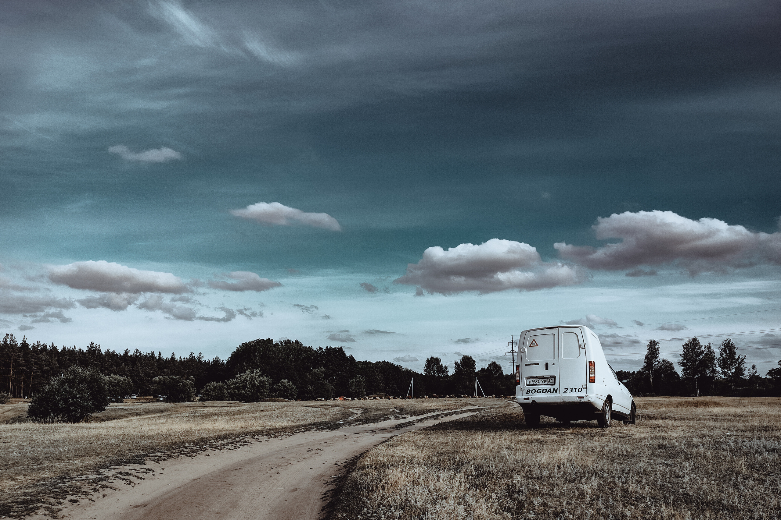Овцы без электроандроидов. Фотограф Старый Оскол Мавлыга Мария