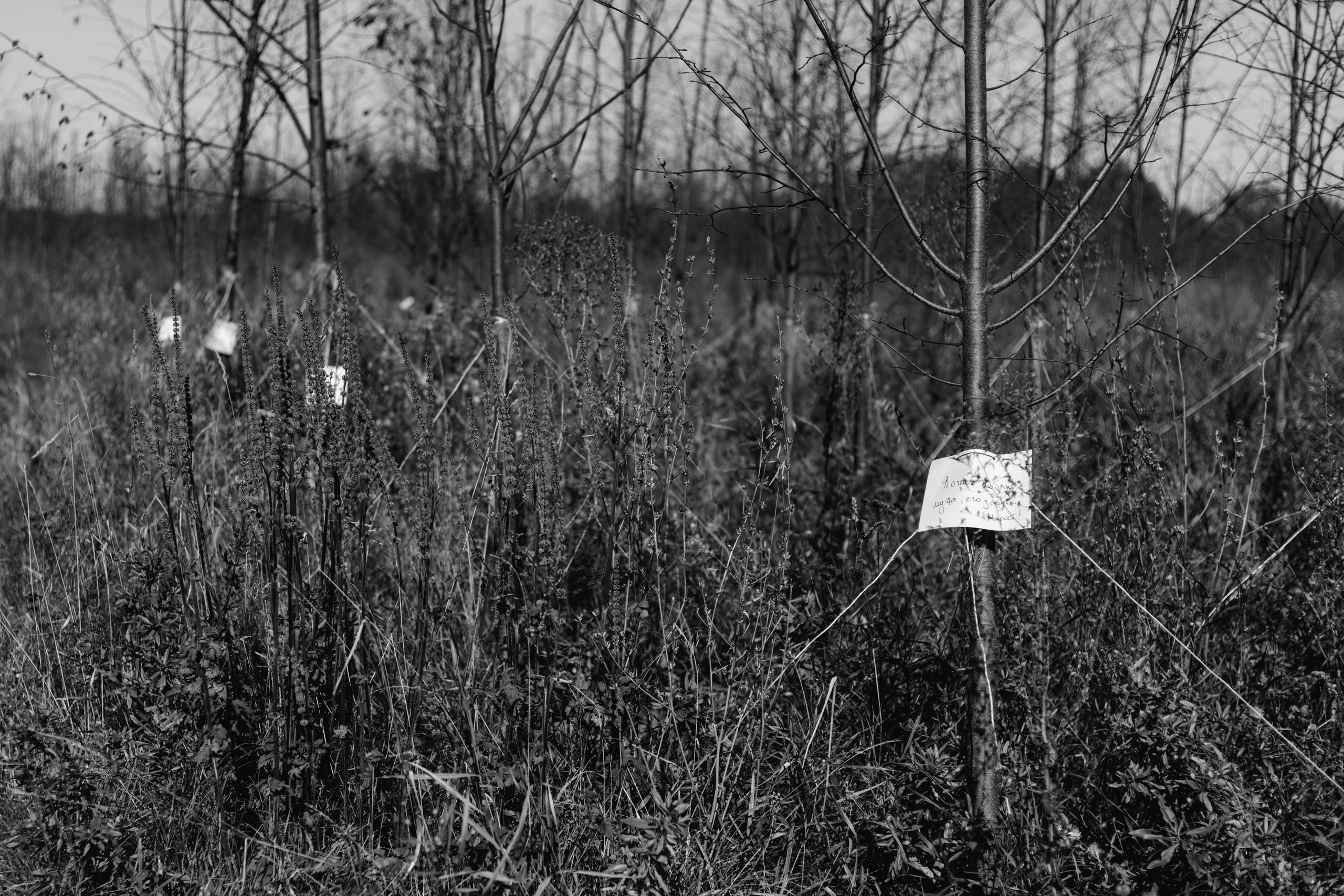 Перформанс «Лес мыслей». Коммерческий фотограф в Казани Ксения Добролюбова