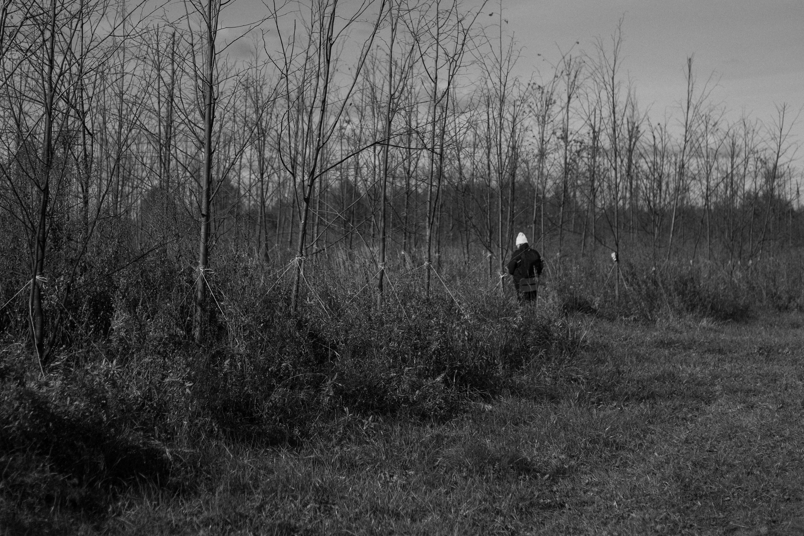 Перформанс «Лес мыслей». Коммерческий фотограф в Казани Ксения Добролюбова