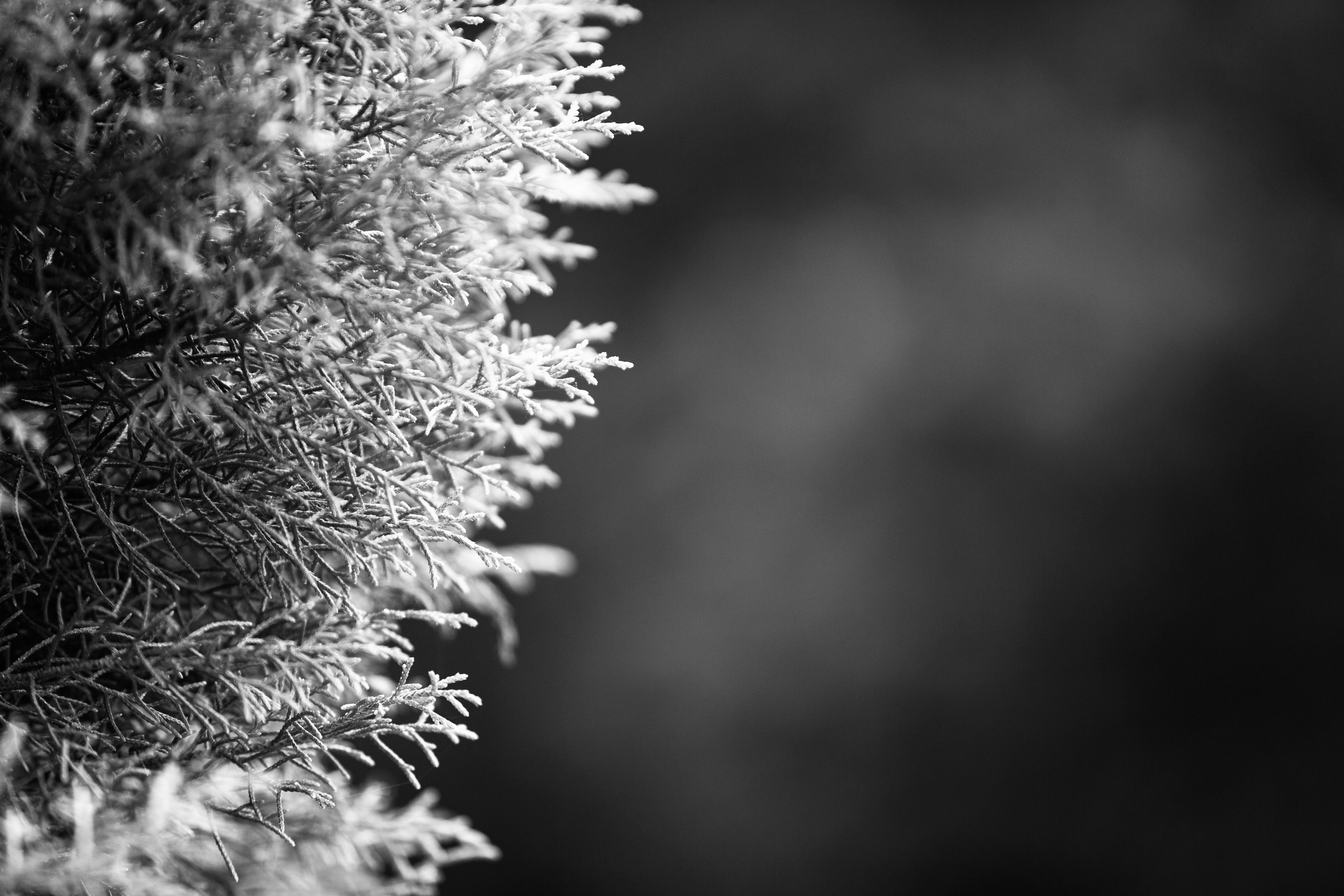 Видео для Брендов и Экспертов