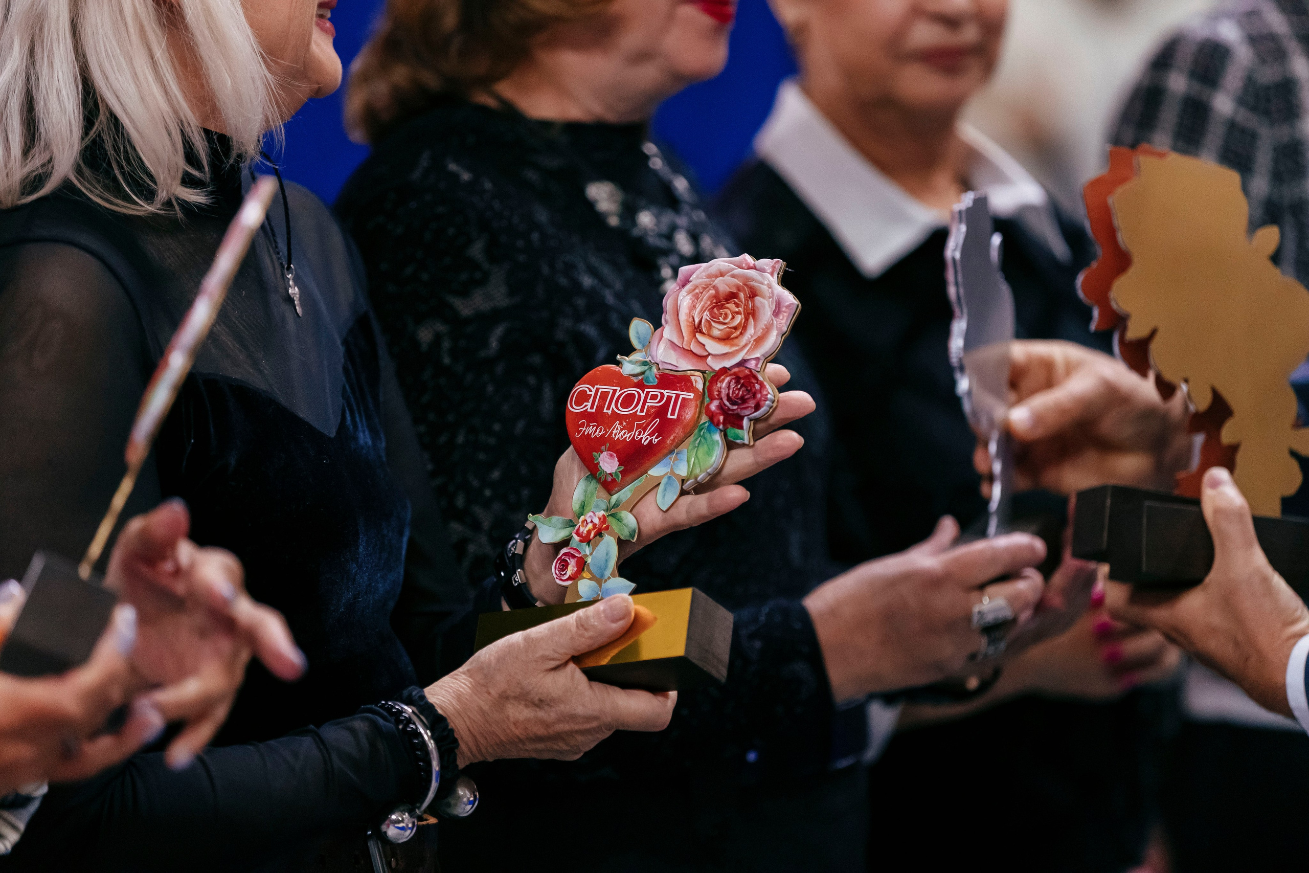 Региональные соревнования по художественной гимнастике. Смоленск. Спортивный фотограф Александр Васильев. RG и AGG