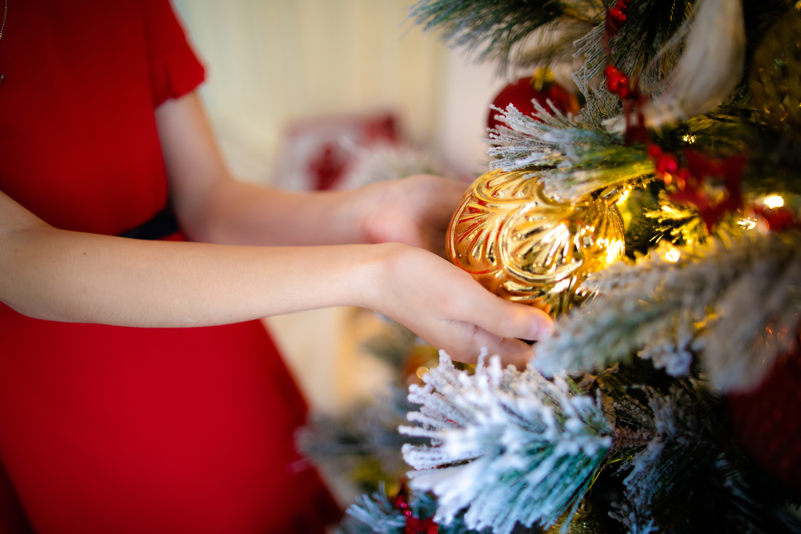 Штатный фотограф