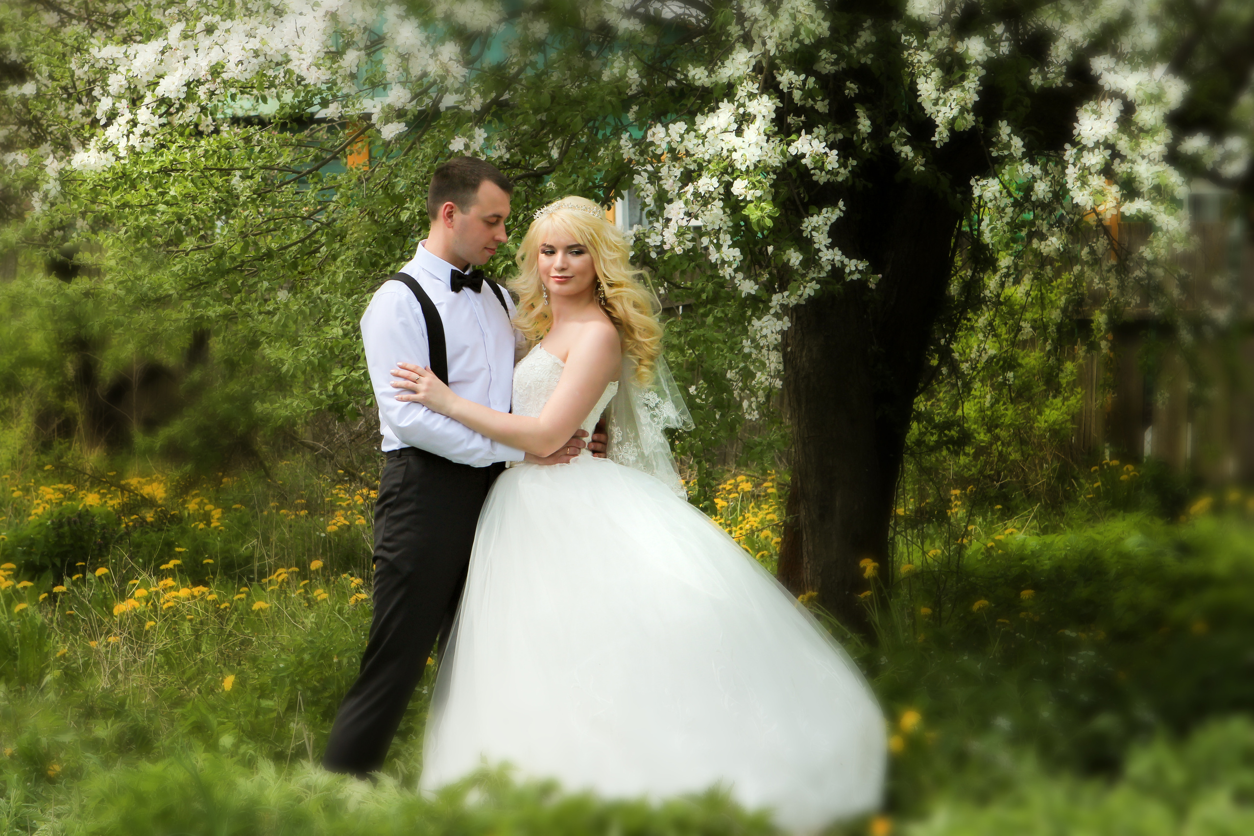 жених и невеста стоят под цветущим майским деревом