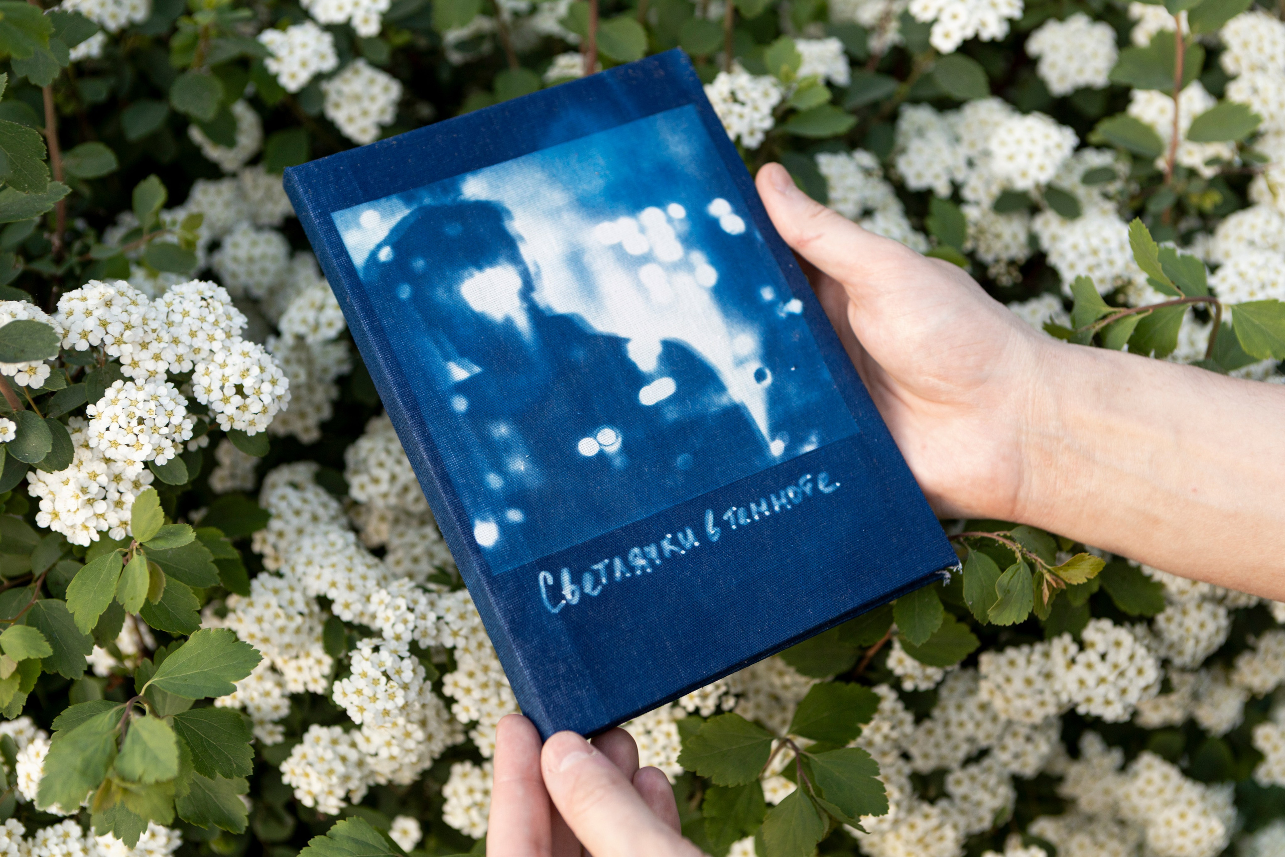 Фотозин «Светлячки в темноте»