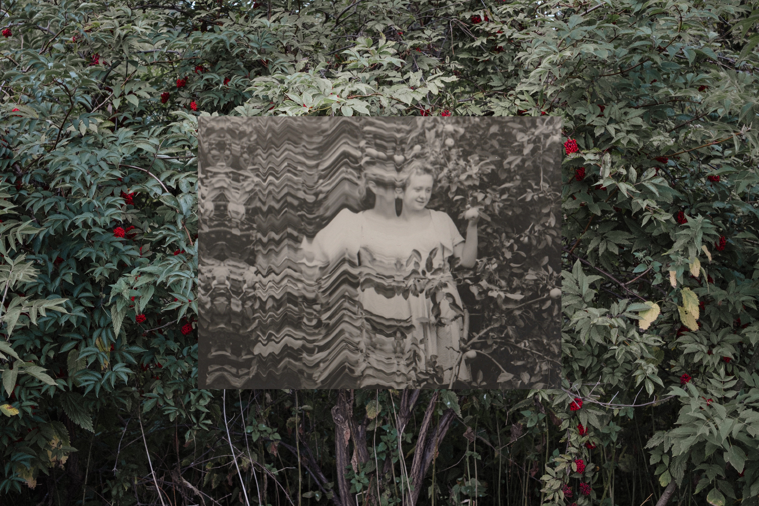 Another swallow | ongoing. Nasti Davydova