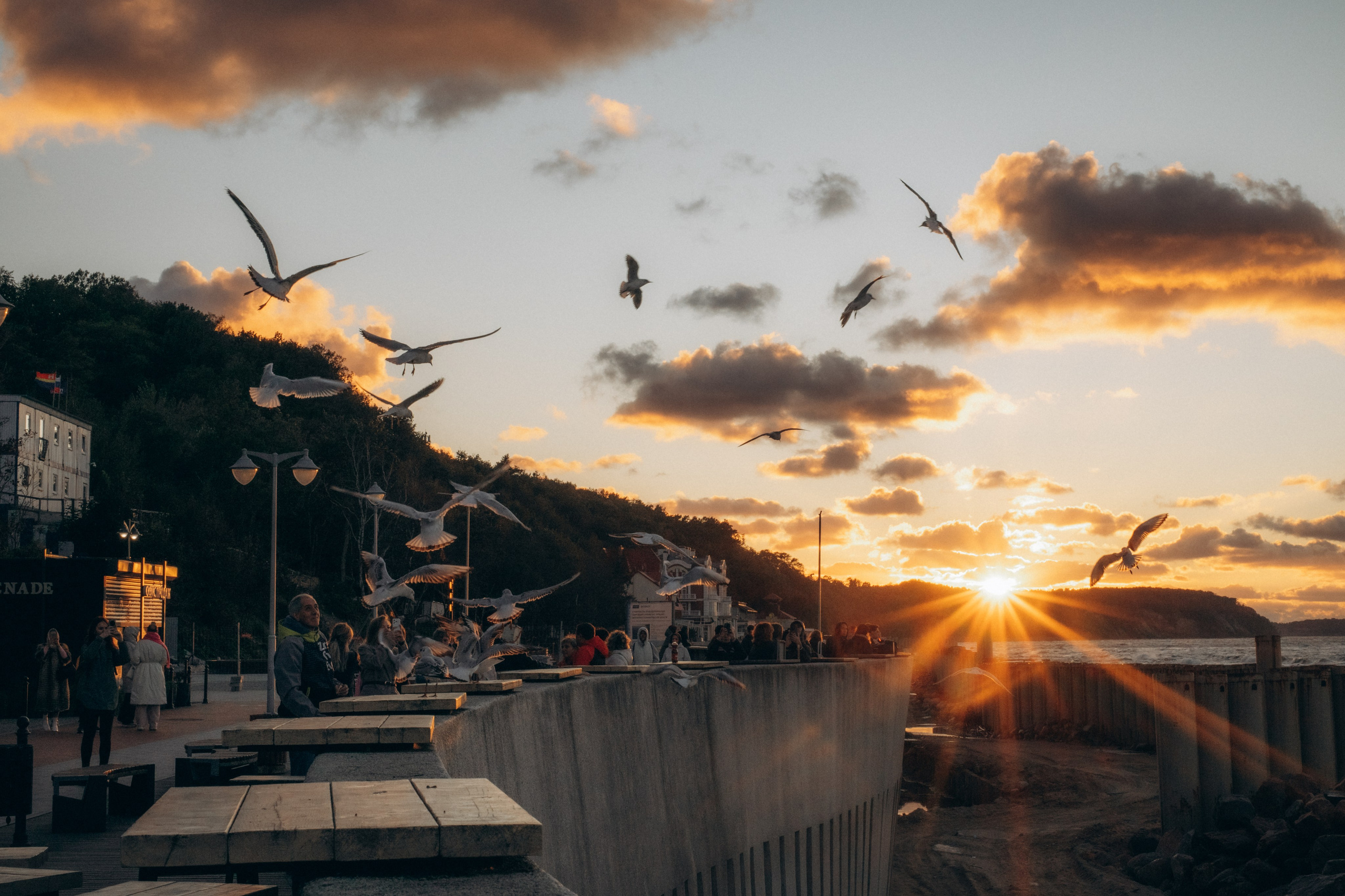 Путешествие в Калининград. Часть 2