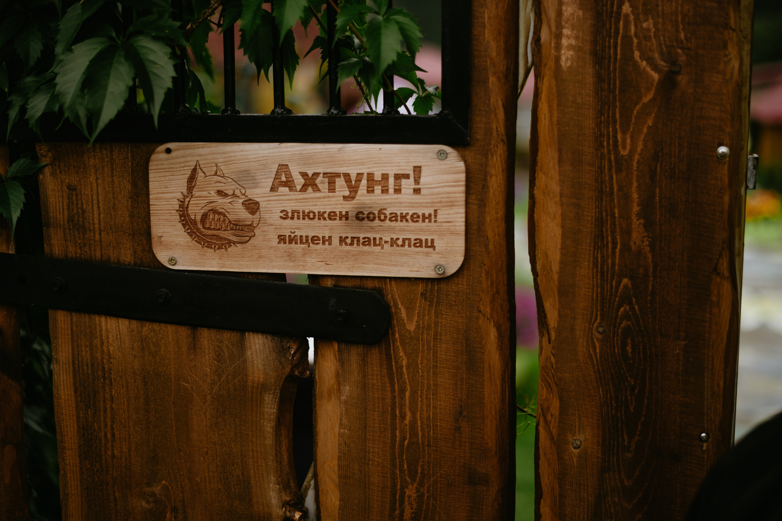 Поездка на Алтай. Часть 5