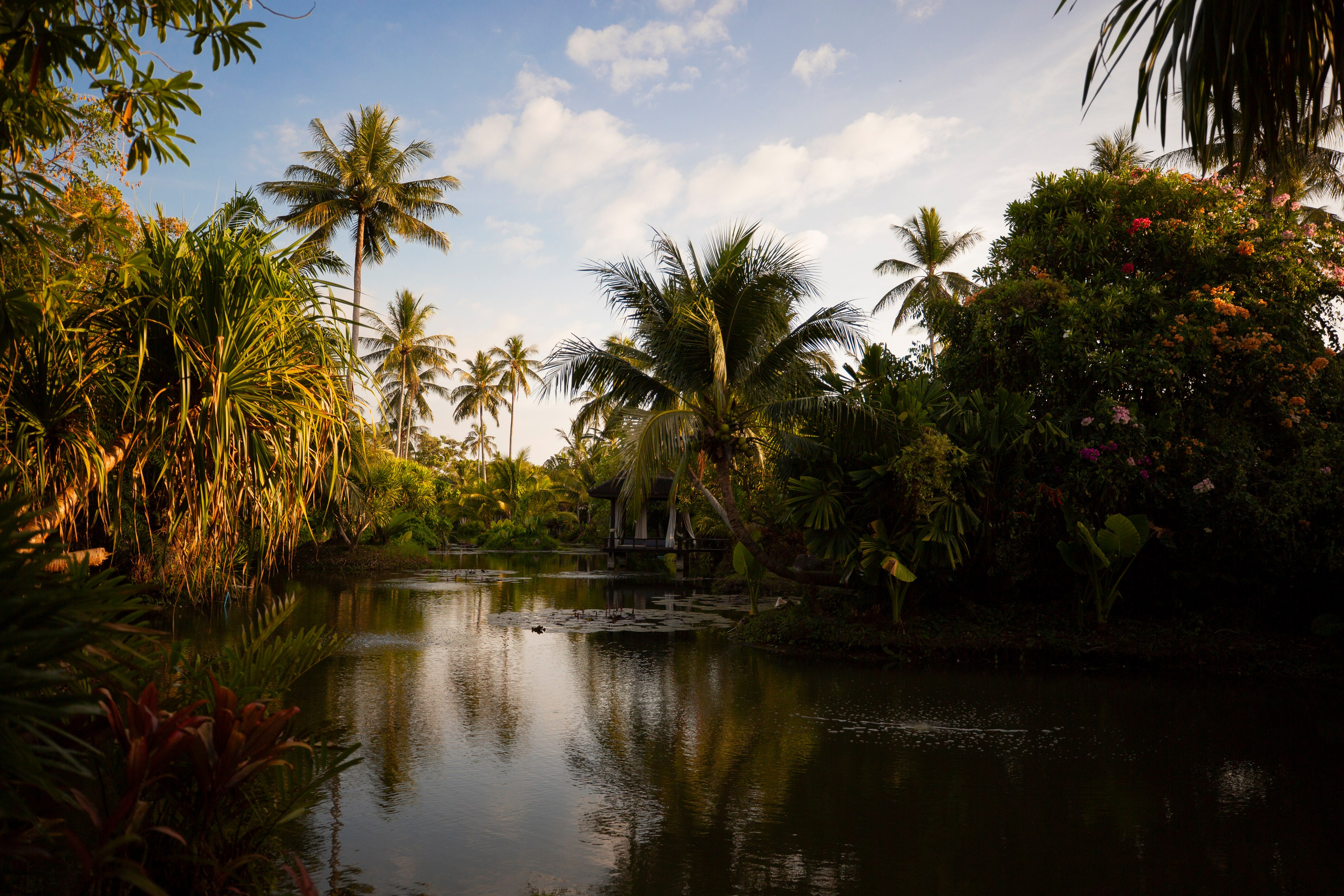 Таиланд. Фотограф Даша Омельченко