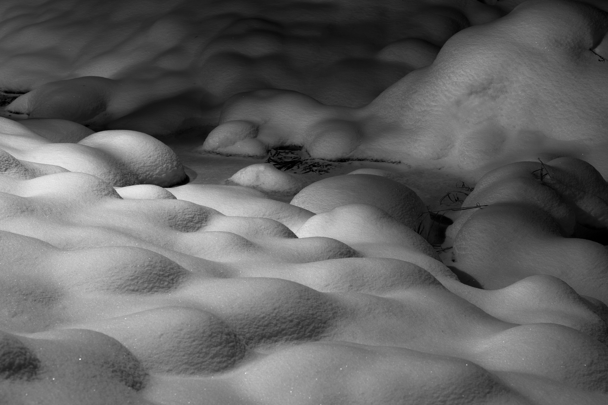 Зимняя фотосессия — сказка в Волочке