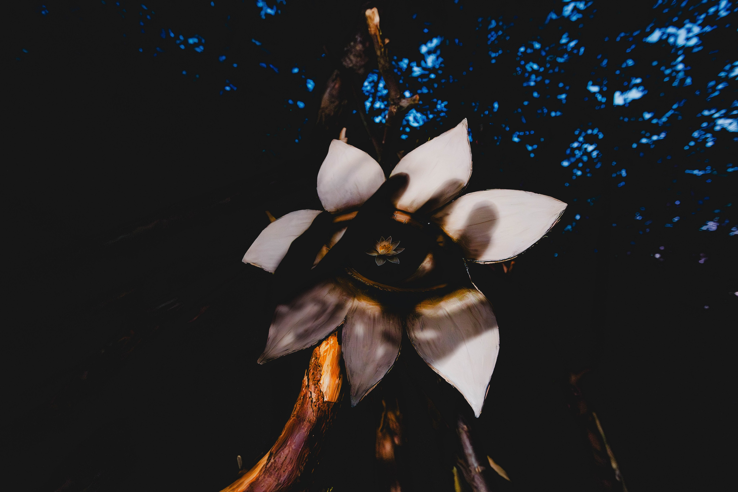 Промежуток между известным и неизвестным. Репортажный и портретный фотограф в Тольятти