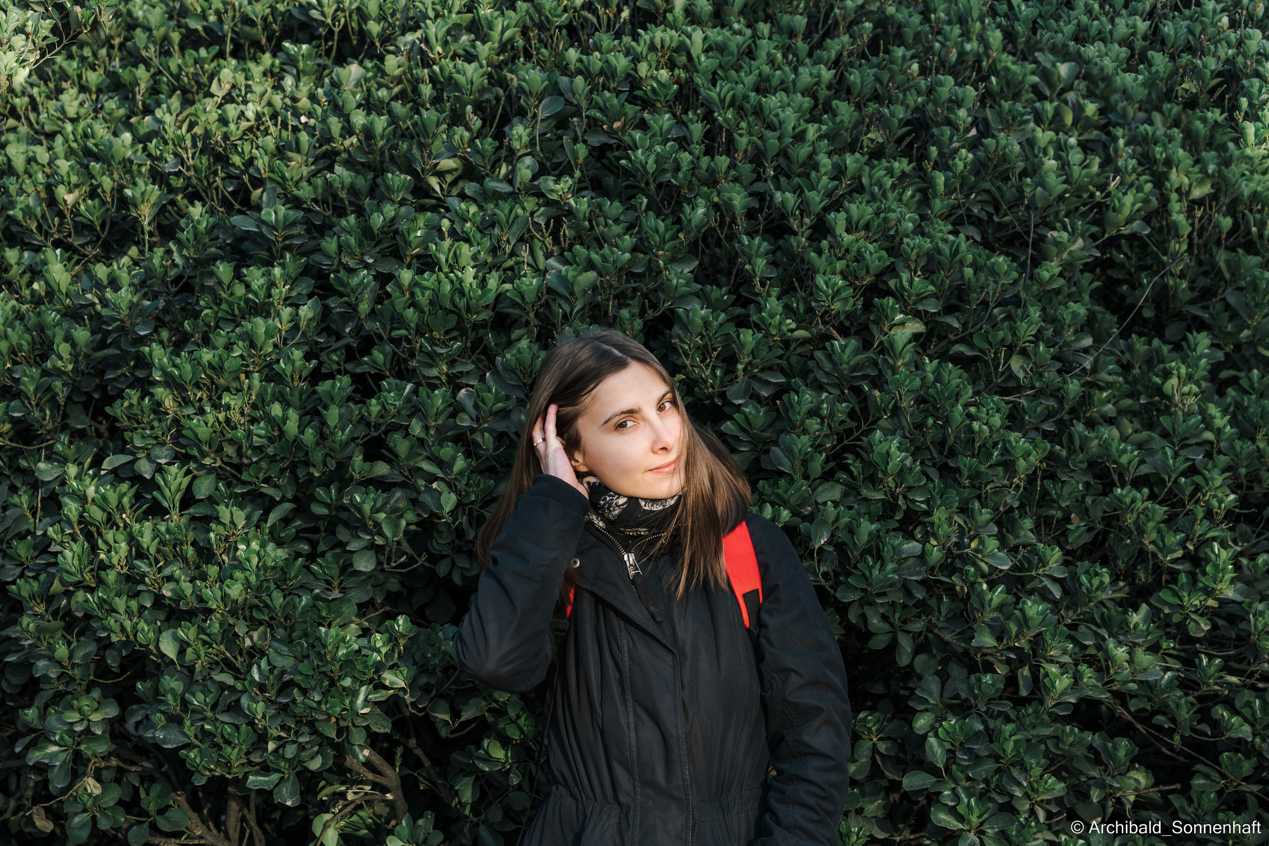 Park, tea and cats. Photographer in Guangzhou, China. Archibald Sonnenhaft