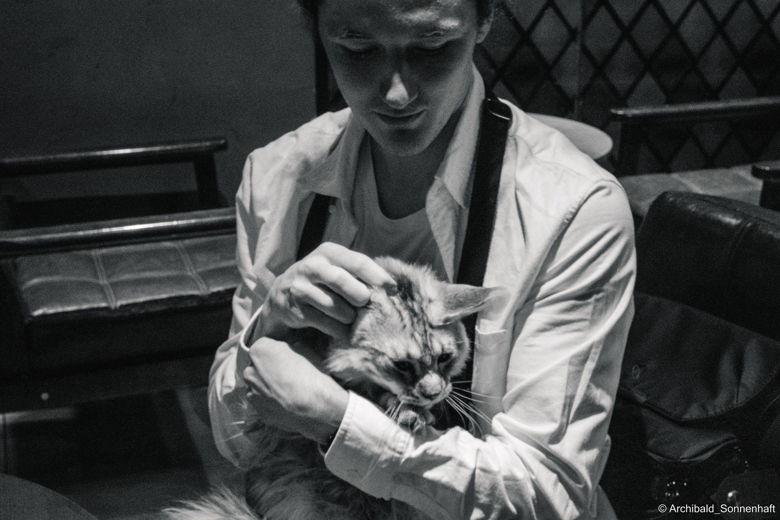 Park, tea and cats. Photographer in Guangzhou, China. Archibald Sonnenhaft