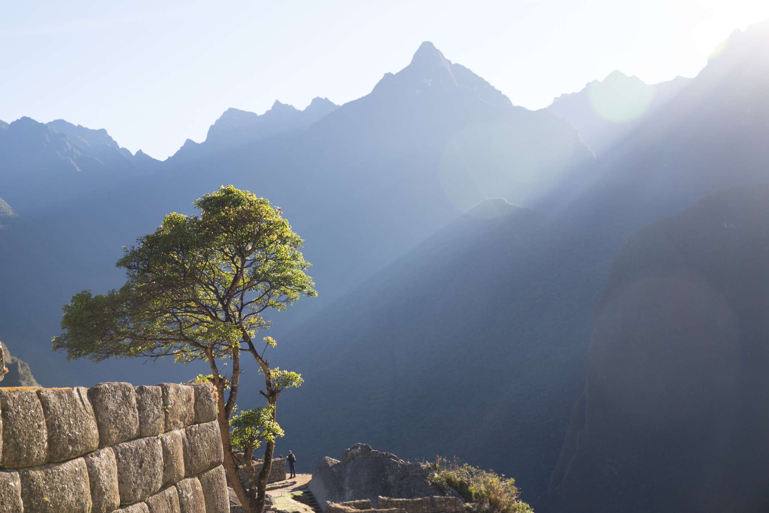 Фотографии Тиграна Худавердяна