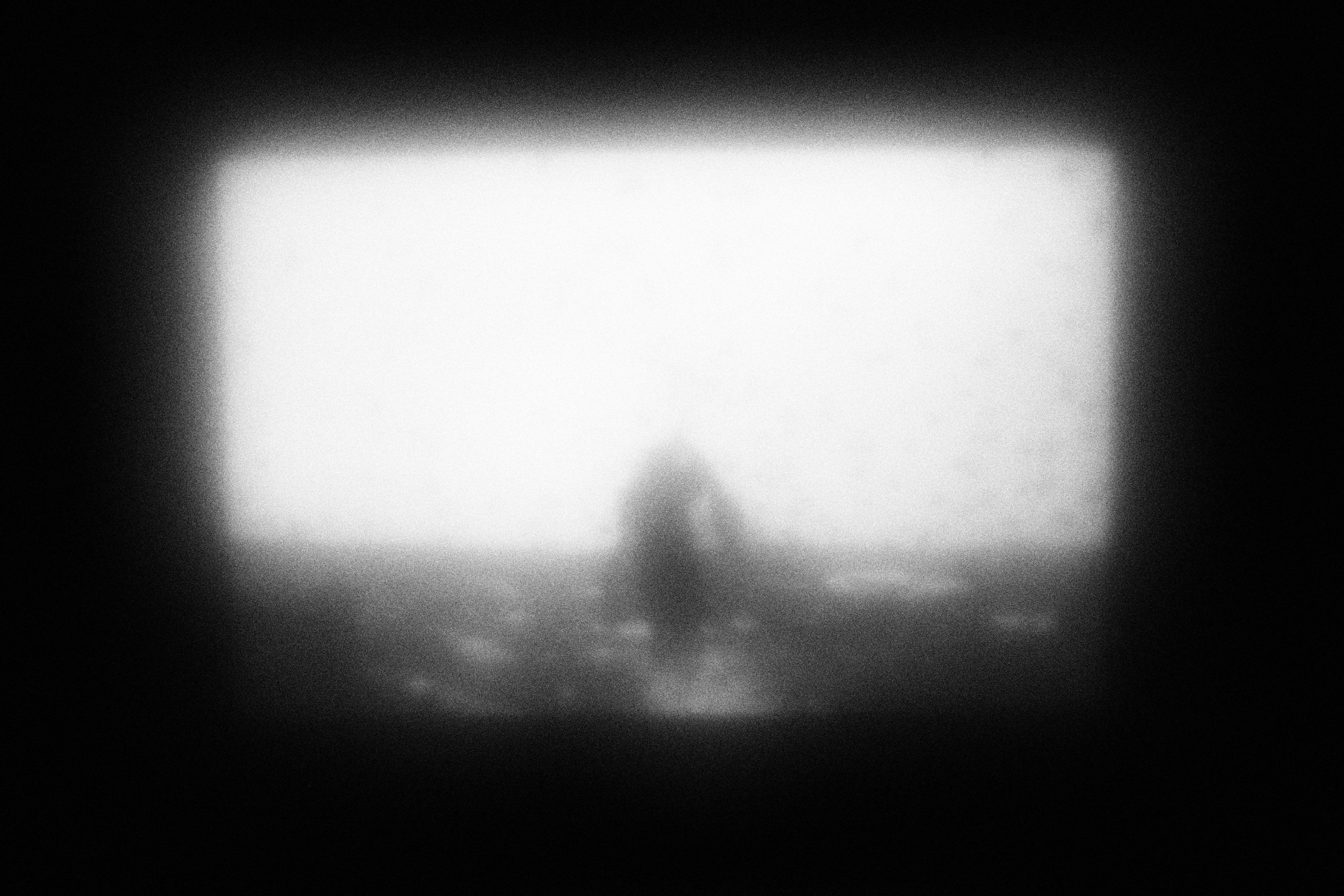 Маленькие искусства и я, Полина Шадрина