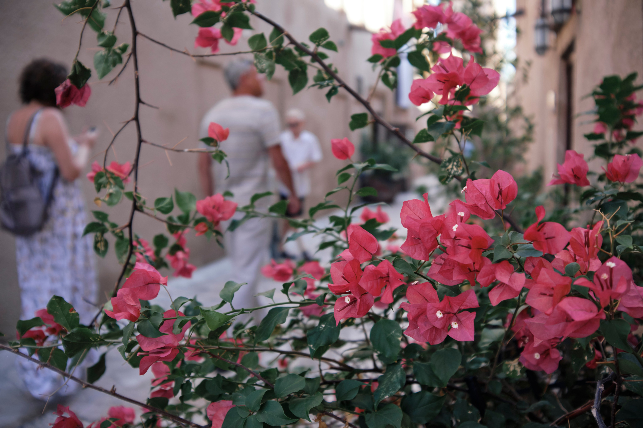 Дубай. Елена Павленко. Фотограф. Москва