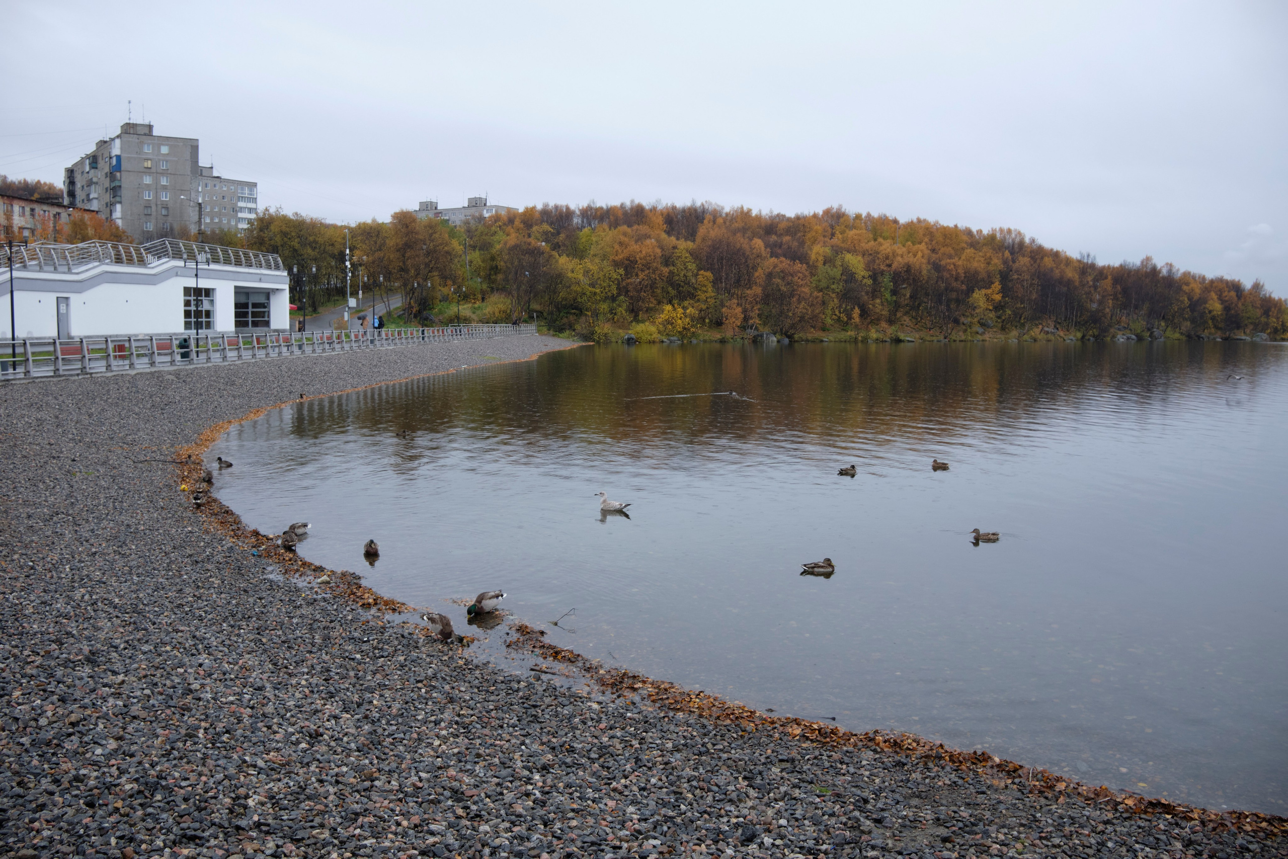 Поездка в Мурманск. Заметки и фото. Елена Павленко. Фотограф. Москва