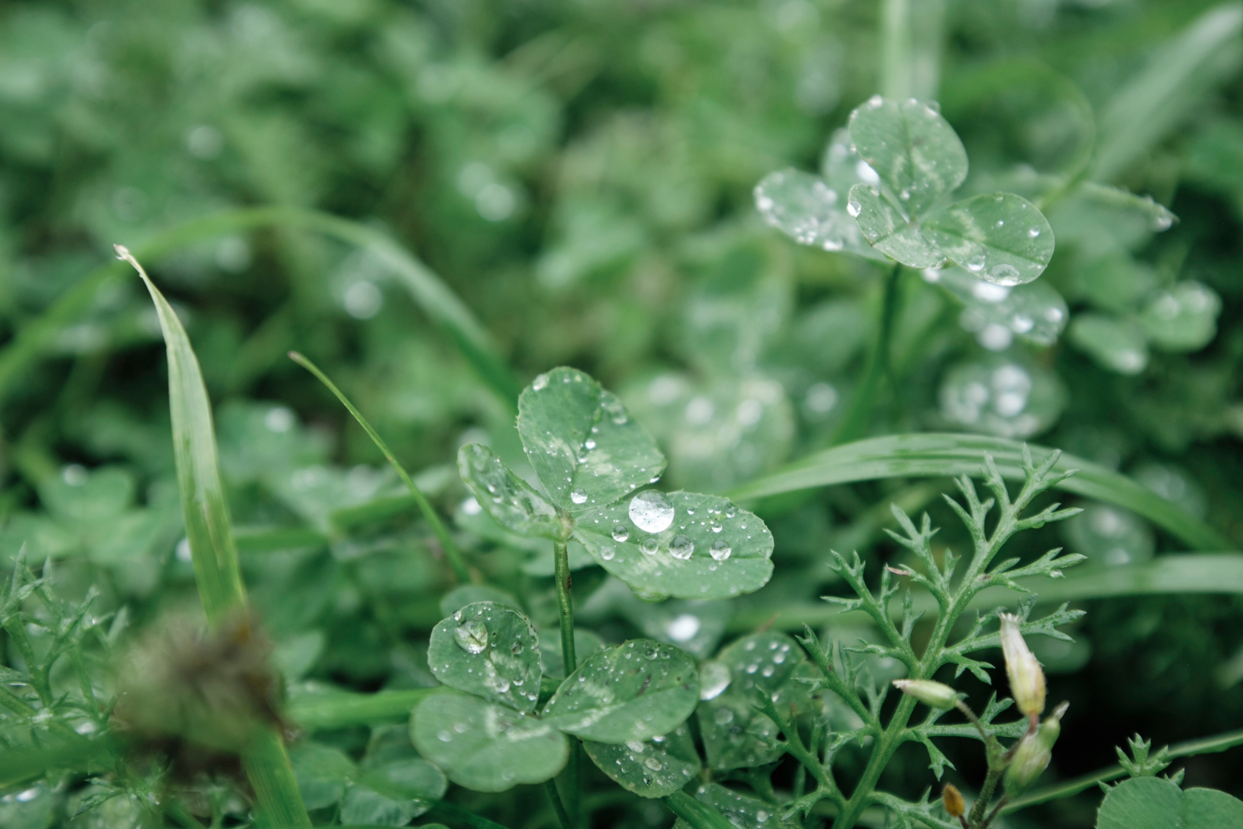 Поездка в Мурманск. Заметки и фото. Елена Павленко. Фотограф. Москва