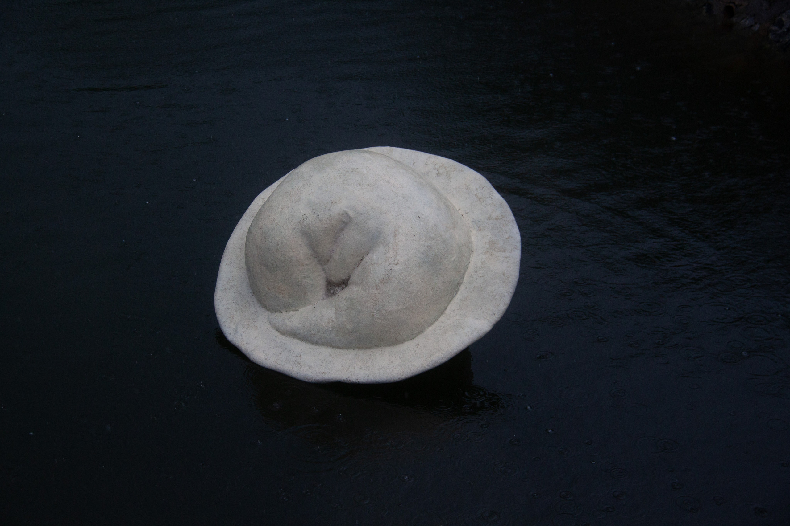 Пельмень Дружбы. Художник Рыбак Николай