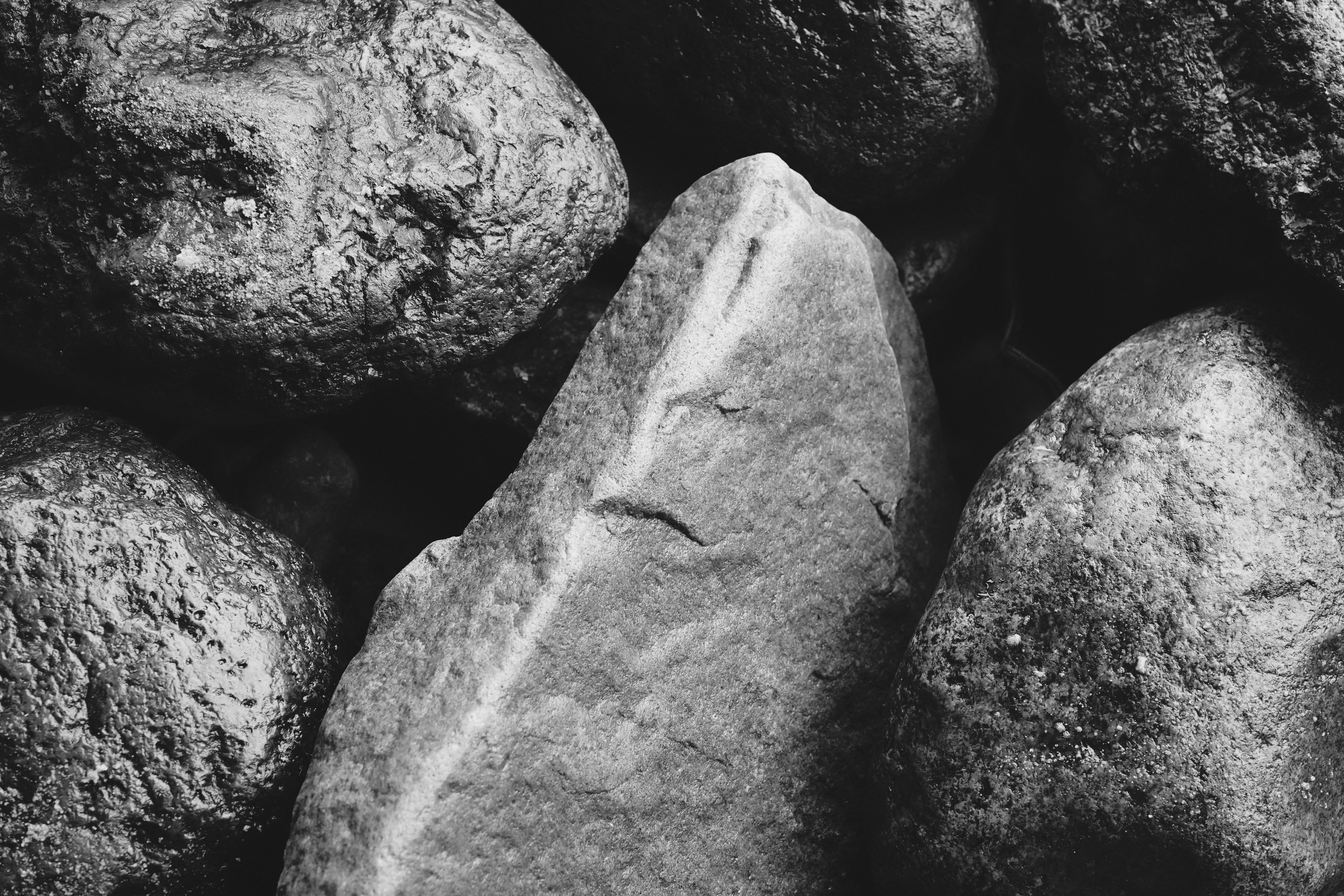 Arseniy Karchevskiy I Photographer