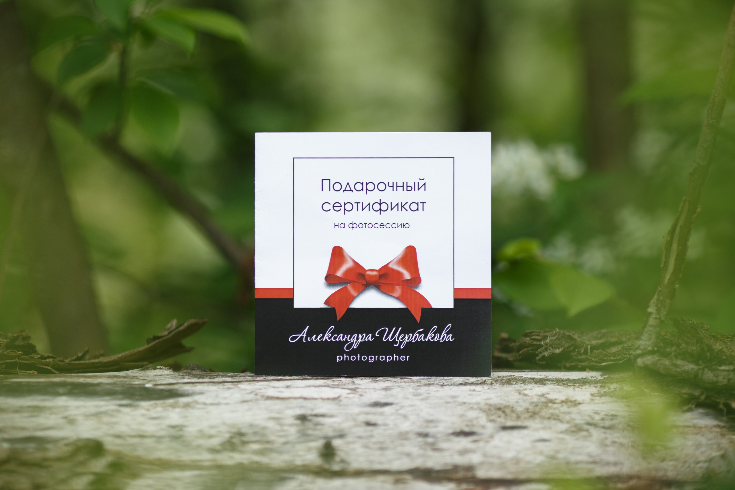 Услуги и цены. Семейный фотограф в Брянске Александра Щербакова