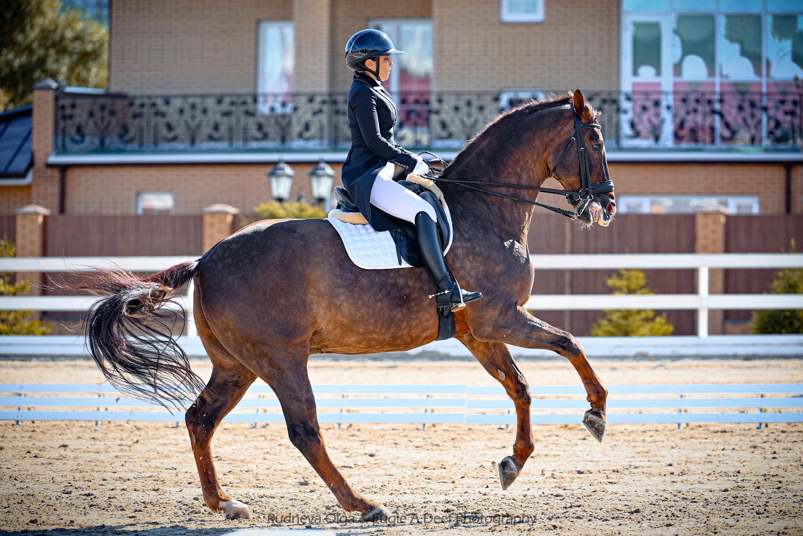 2025.09.13_СЕРЕБРЯНАЯ ПОДКОВА_ВЫЕЗДКА_ОСЕННИЙ КУБОК. ТУРНИРНАЯ КОННАЯ ФОТОГРАФИЯ, Руднева Ольга и Евгений Адеев