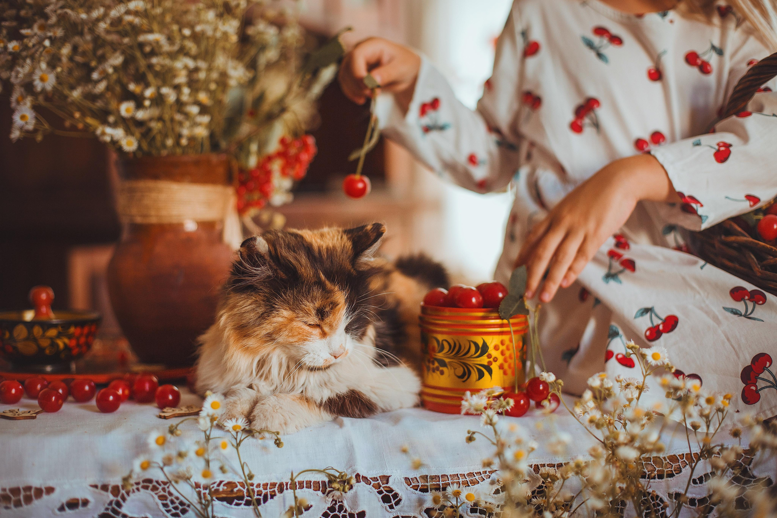 Семейная фотосессия, фотосессия в деревне, деревенский дом, чаепитие. Профессиональный фотограф, фотохудожник, видеограф из Москвы