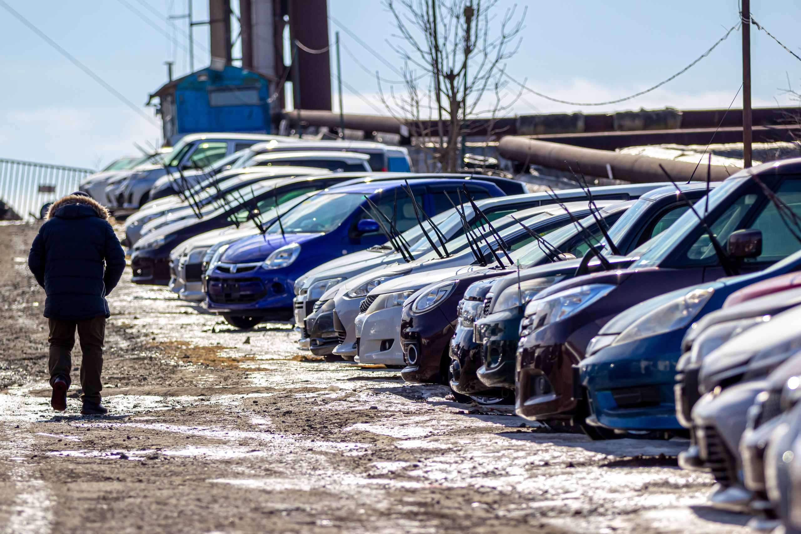 Публикации. Фотограф Антон Клейнос, Владивосток