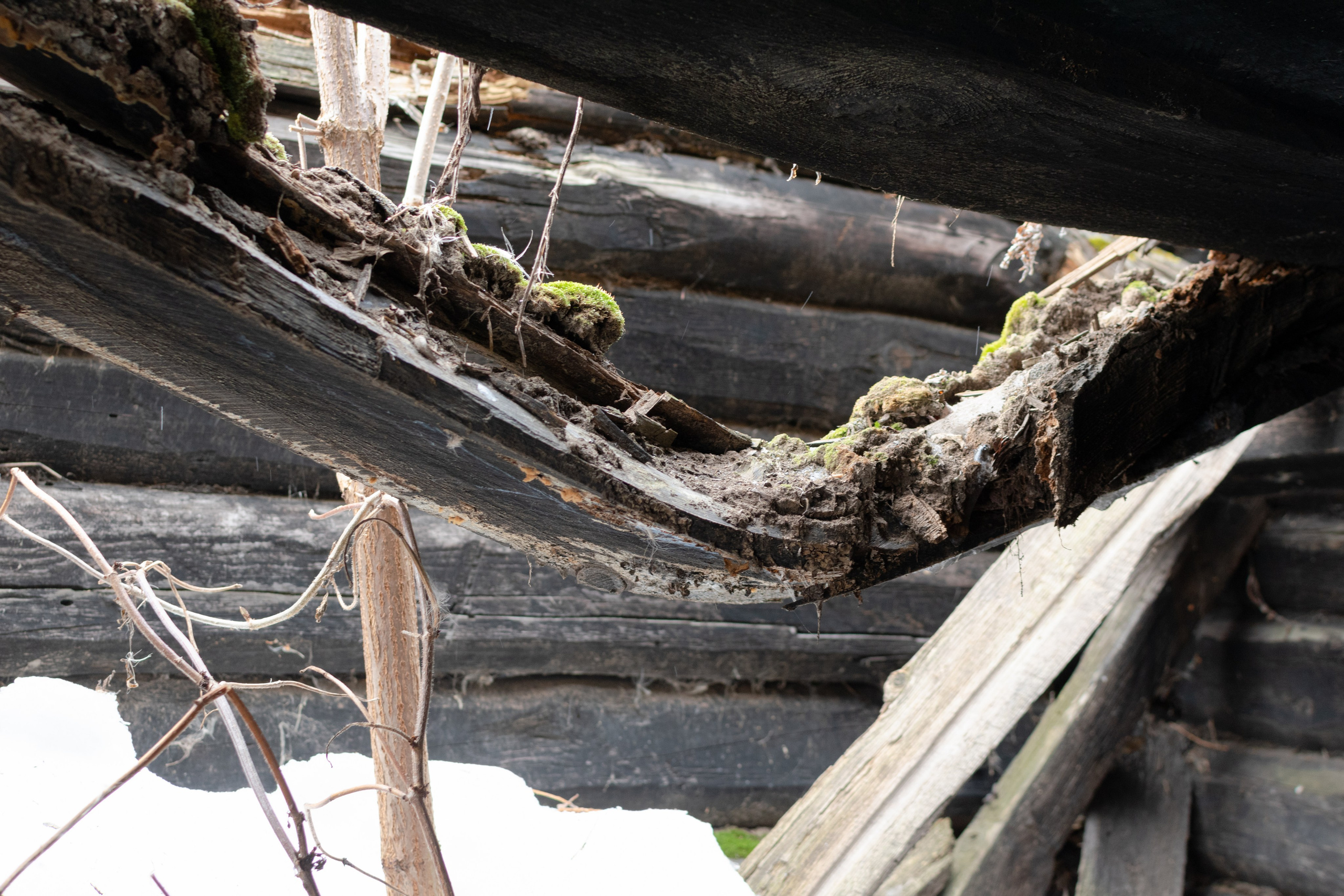 Здесь песни больше не слышны. Katya Medvedeva