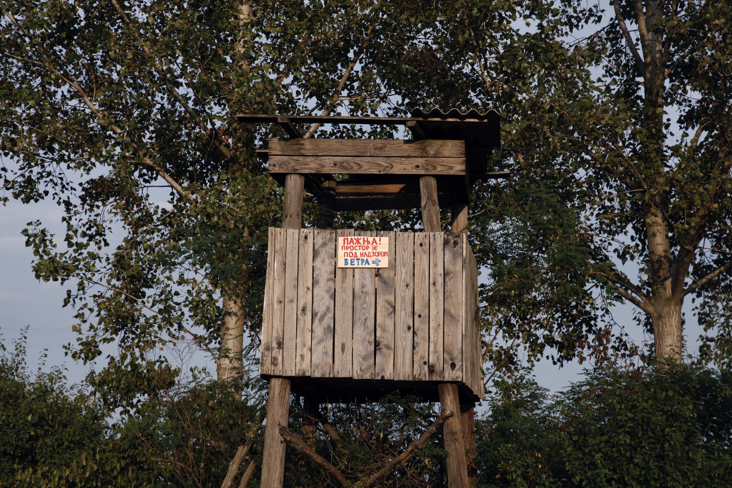 Наталия Бабинцева — ВЫДЕЛЕННАЯ ТЕРРИТОРИЯ: прогулки с N