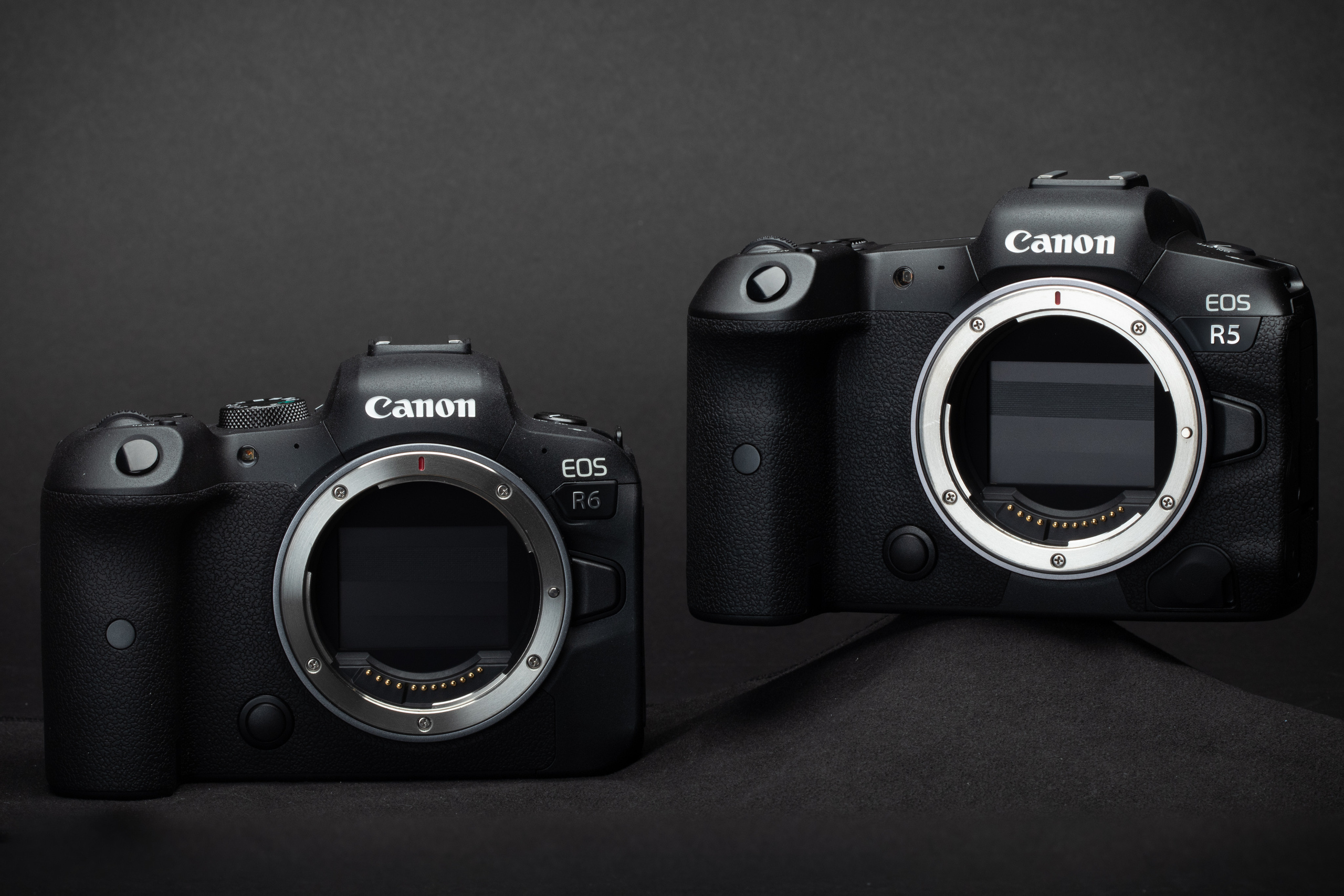 Canon EOS R5 и R6