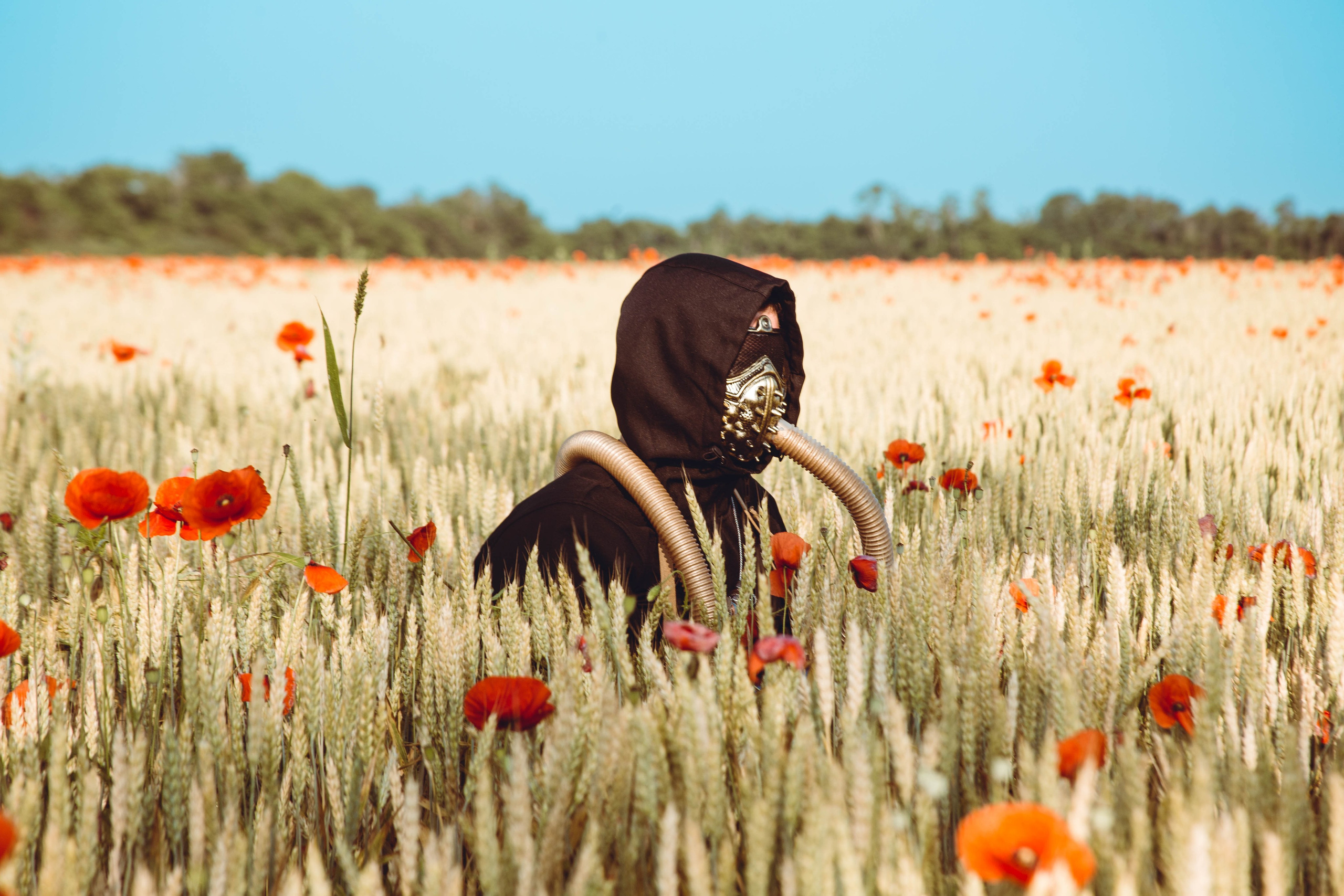 Проекты и анонсы съемок. Foto-creator Alisa Zobova