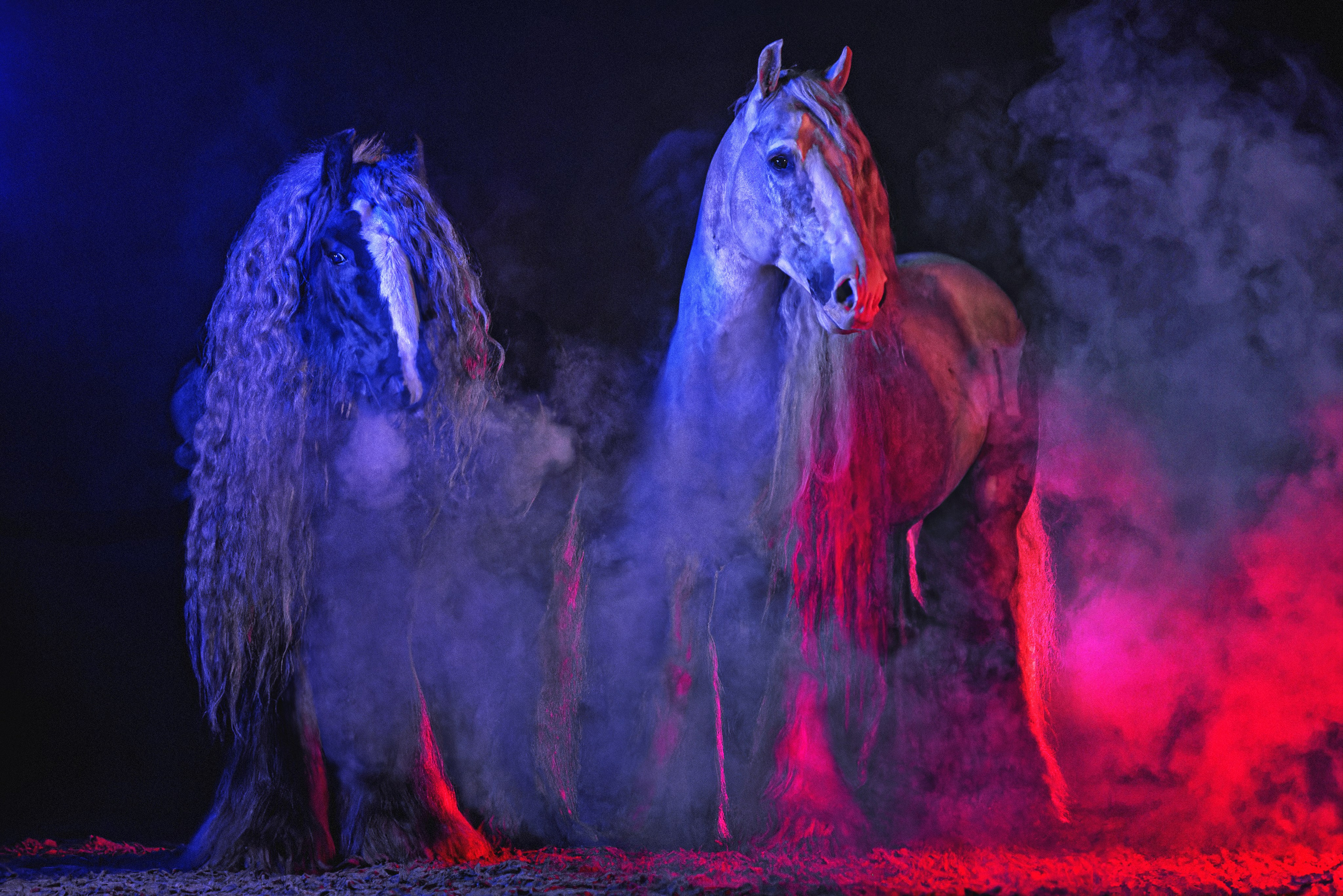 Фотограф-анималист Юлия Зубкова