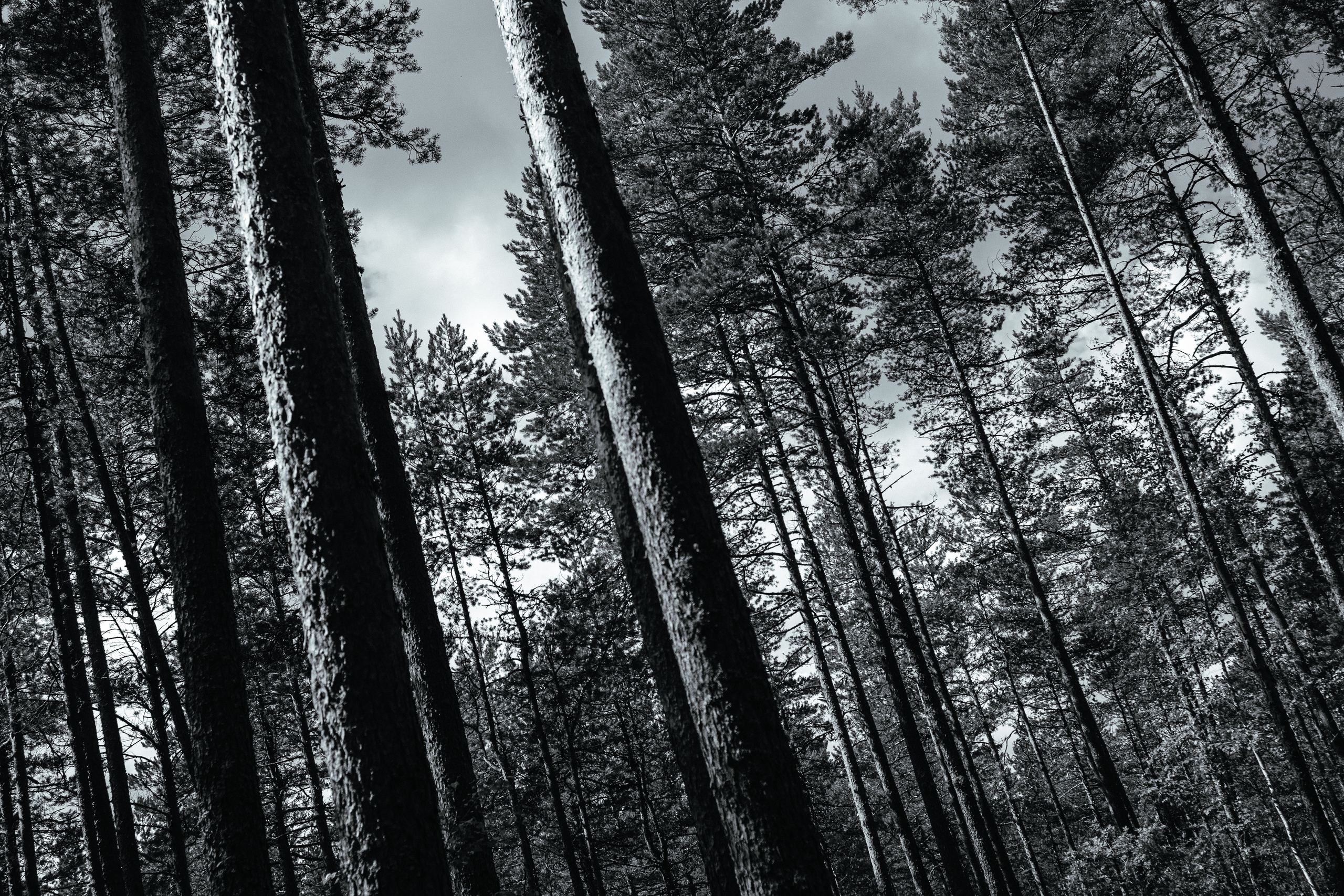 Arina & Denis 🤍. <3