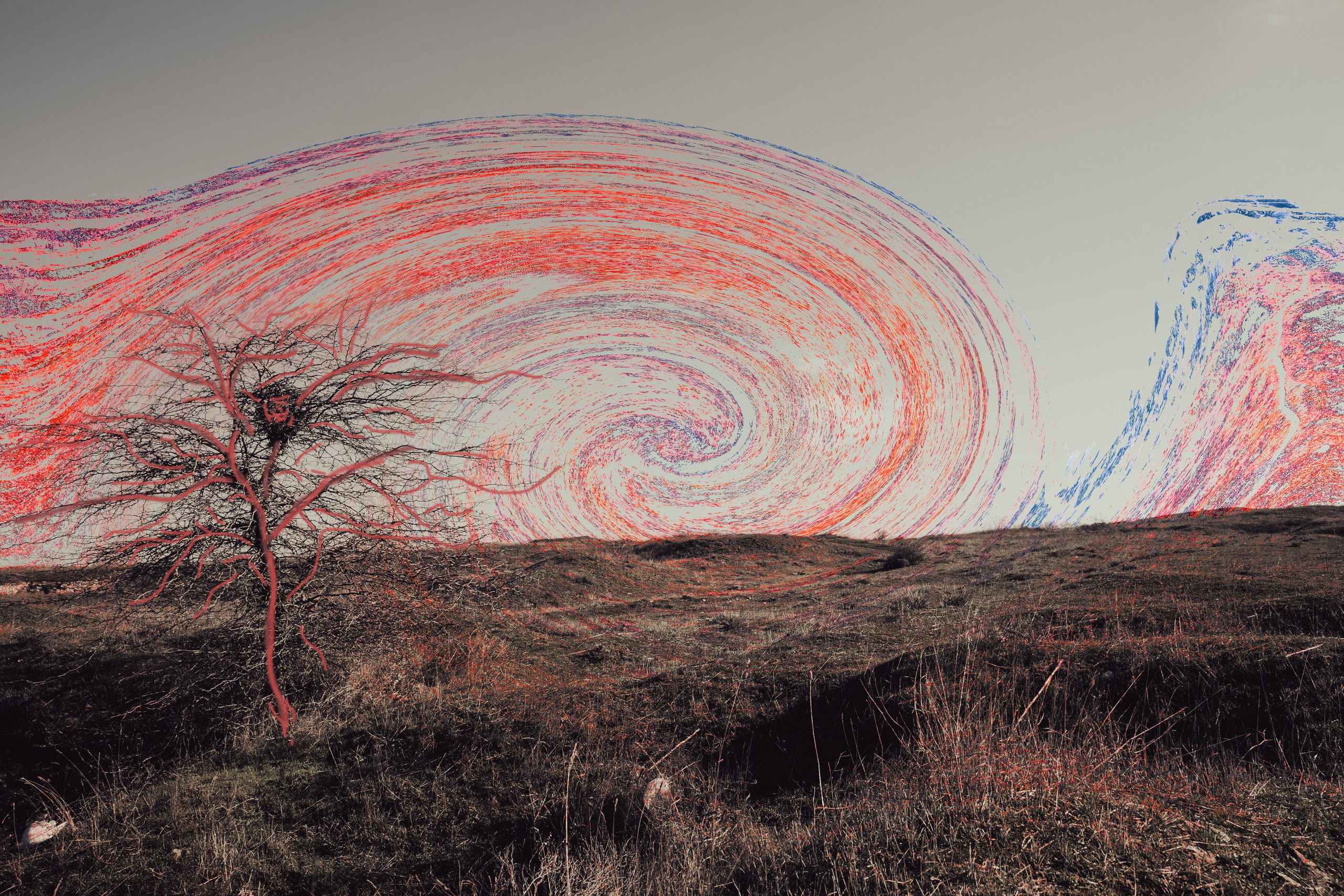 Power lines. Visual artist, photographer Liana Darenskaya, Moscow