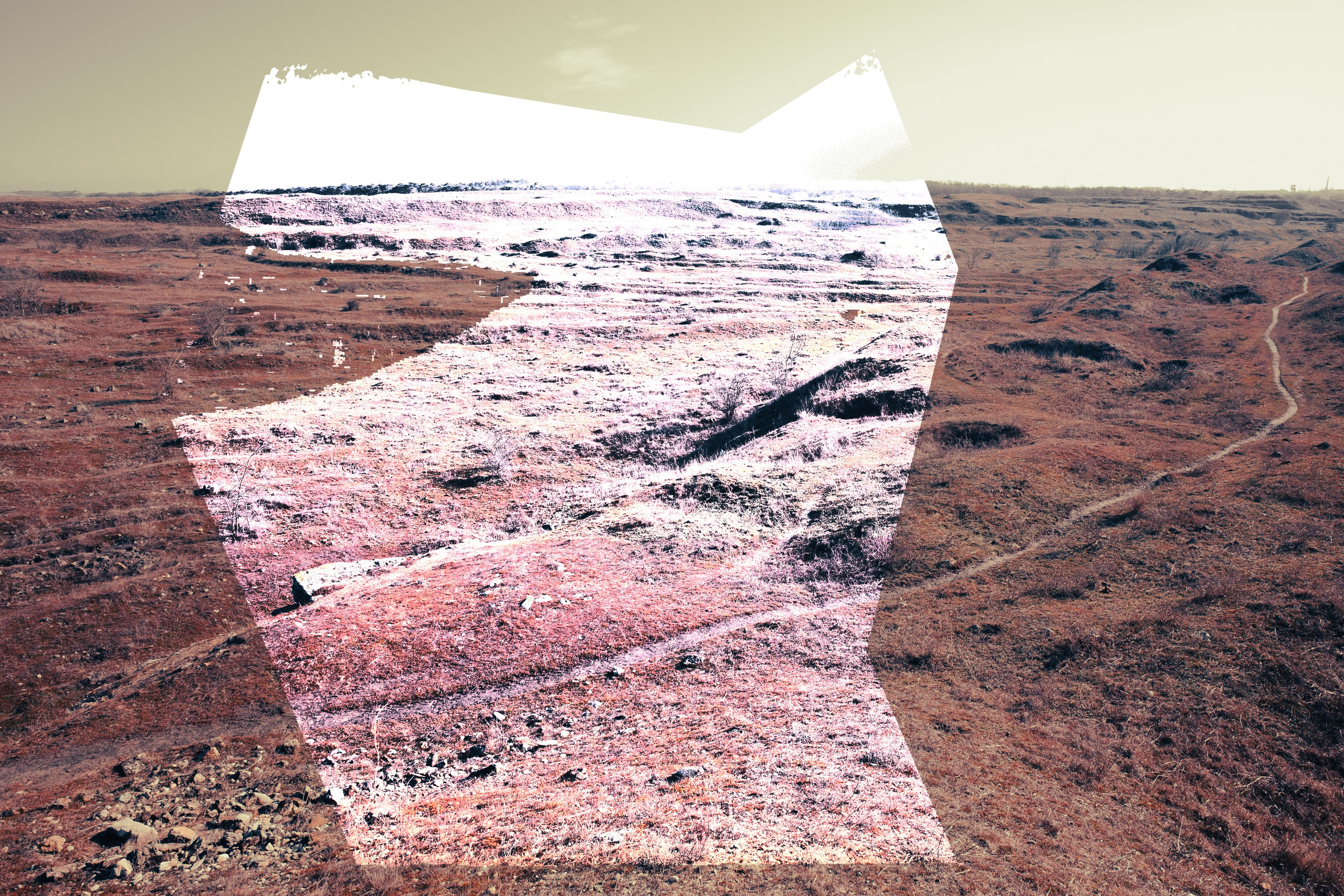 Power lines. Visual artist, photographer Liana Darenskaya, Moscow