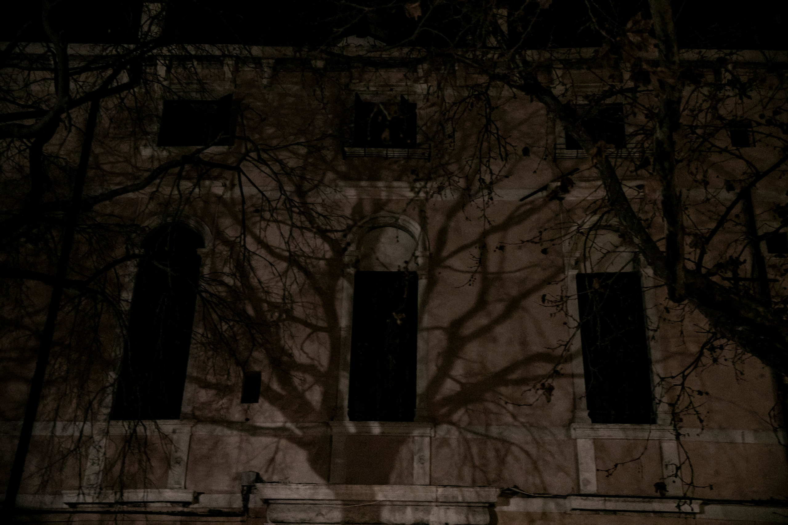 Зима в Венеции. Визуальный художник Лиана Даренская, Москва