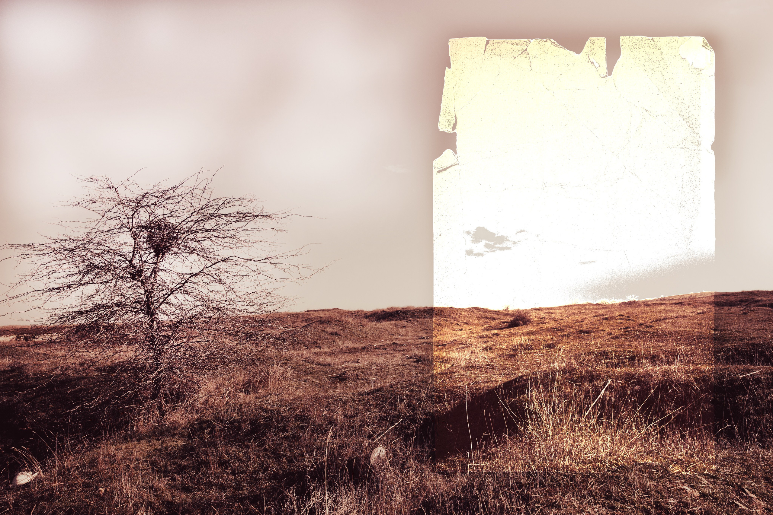 Power lines. Visual artist, photographer Liana Darenskaya, Moscow