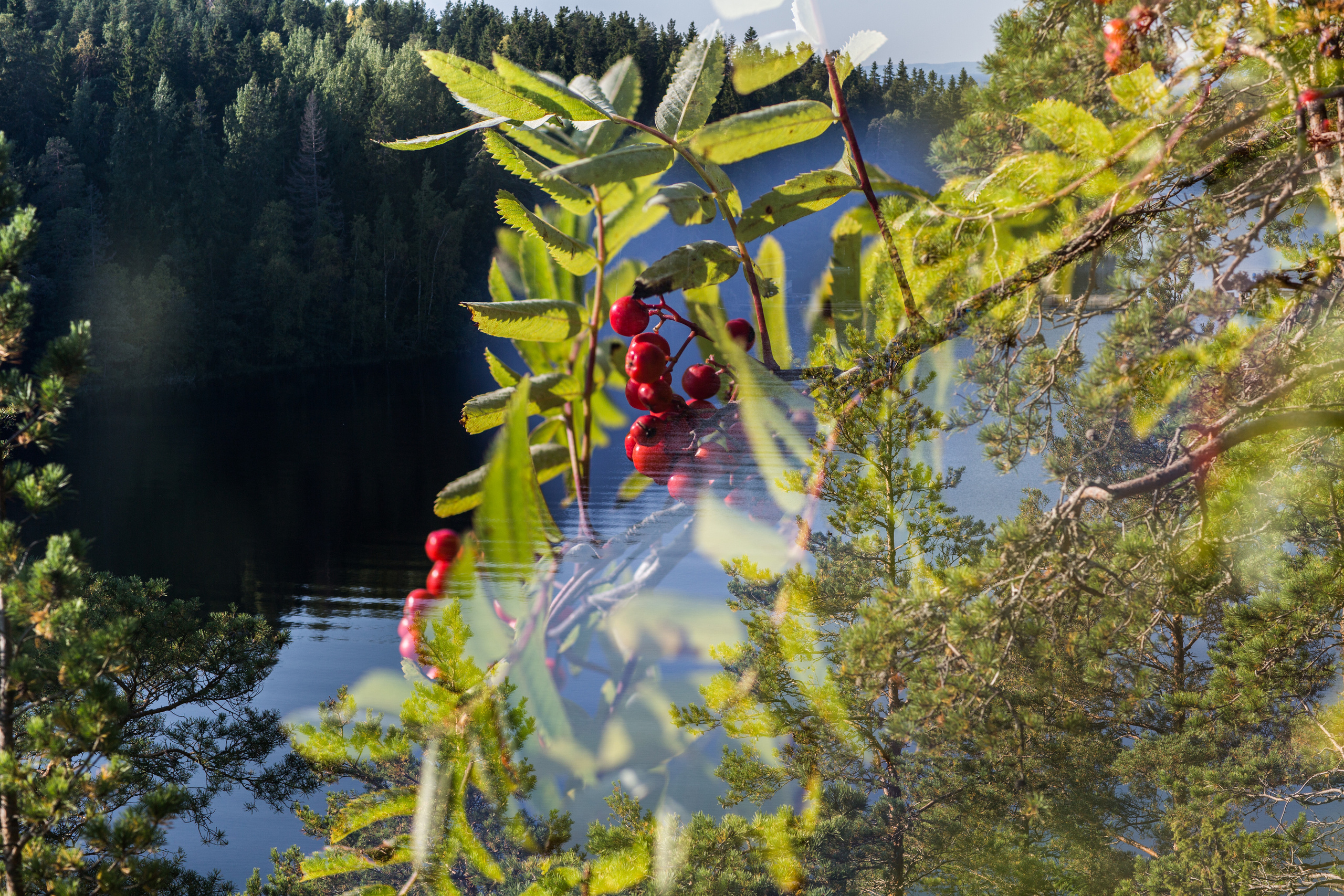 Valaam Island. Visual artist, photographer Liana Darenskaya, Moscow