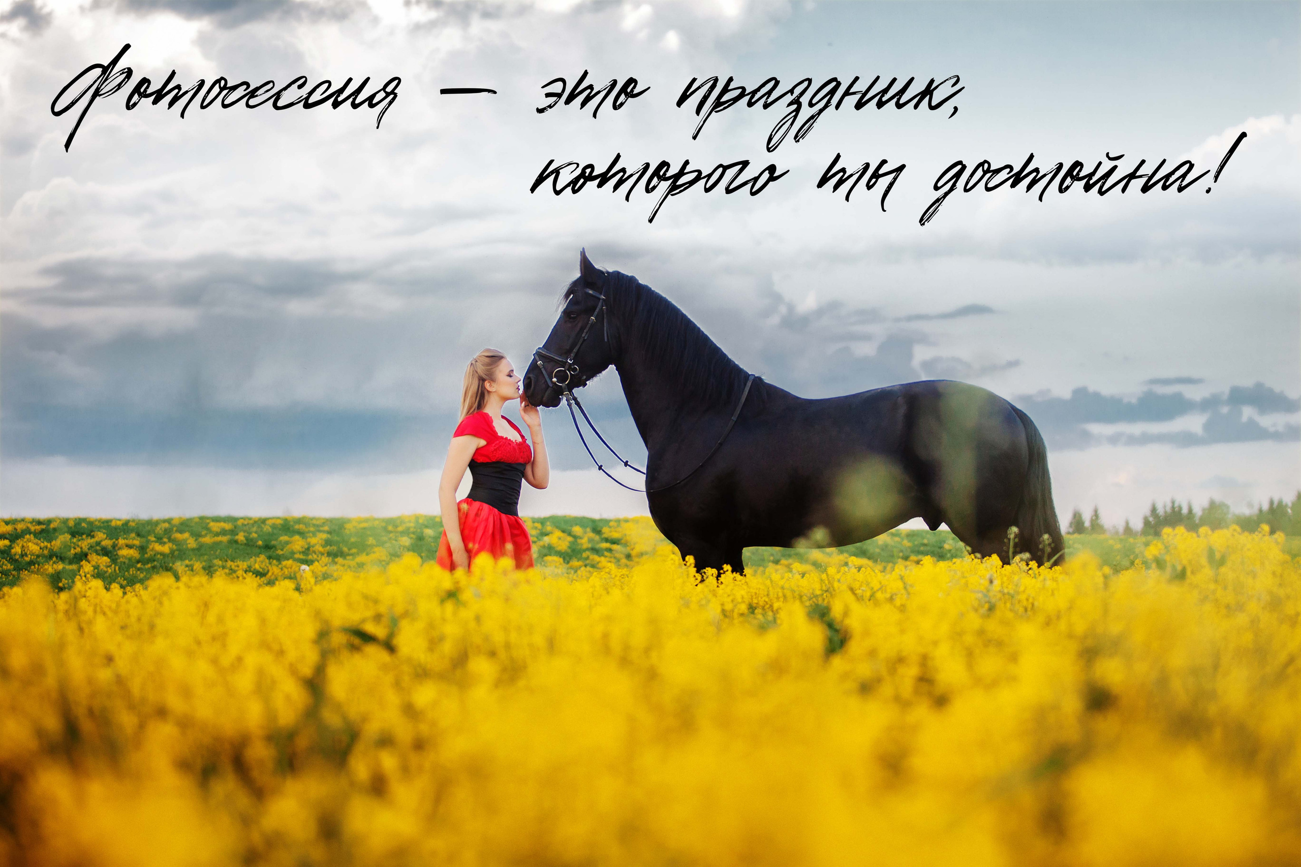 Главная