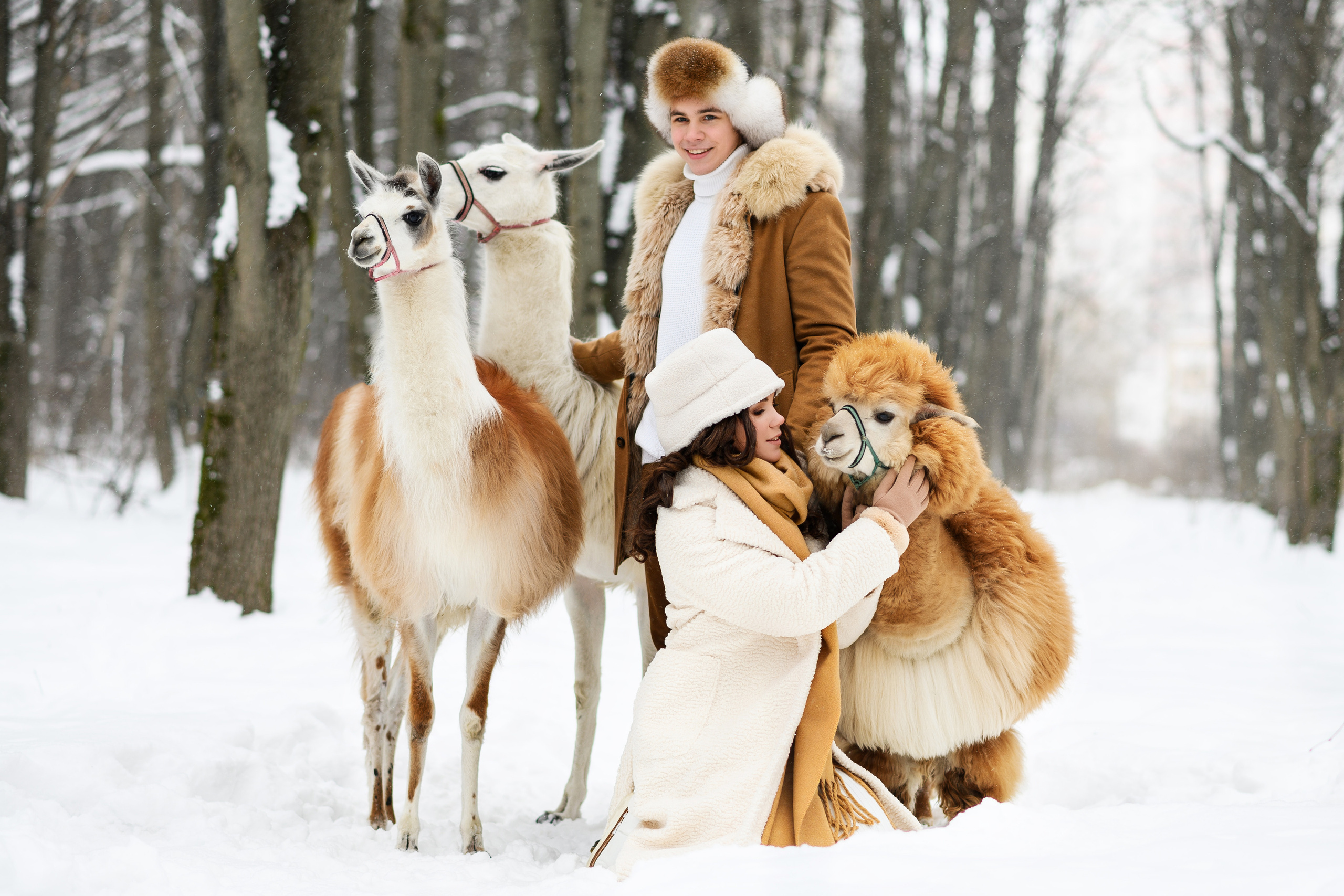 Главная